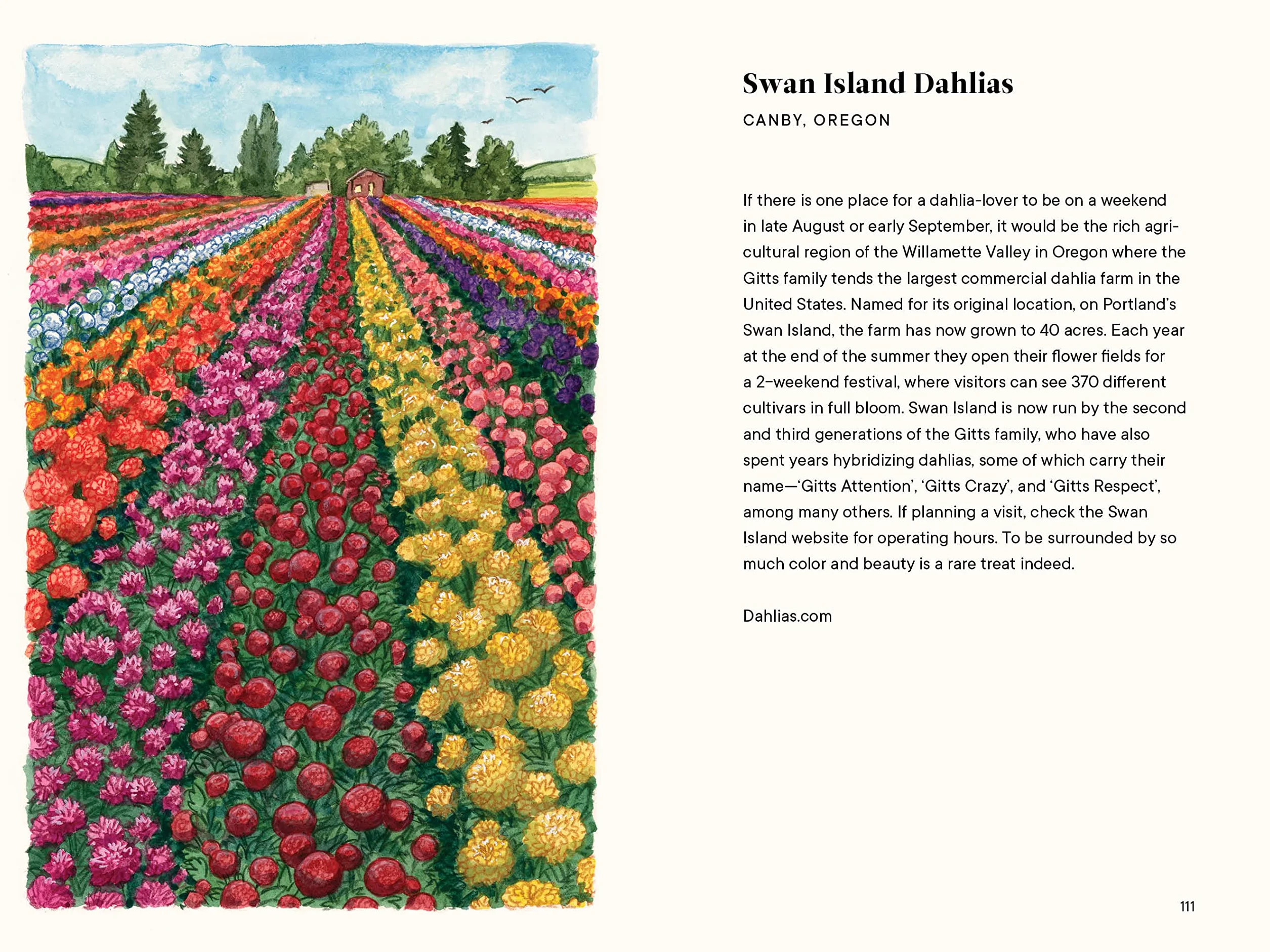 Dahlias: A Little Book of Flowers