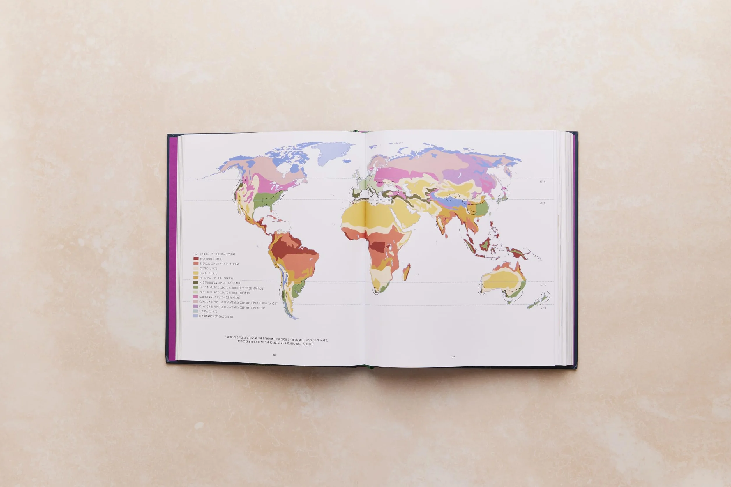 One Thousand Vines: A New Way to Understand Wine