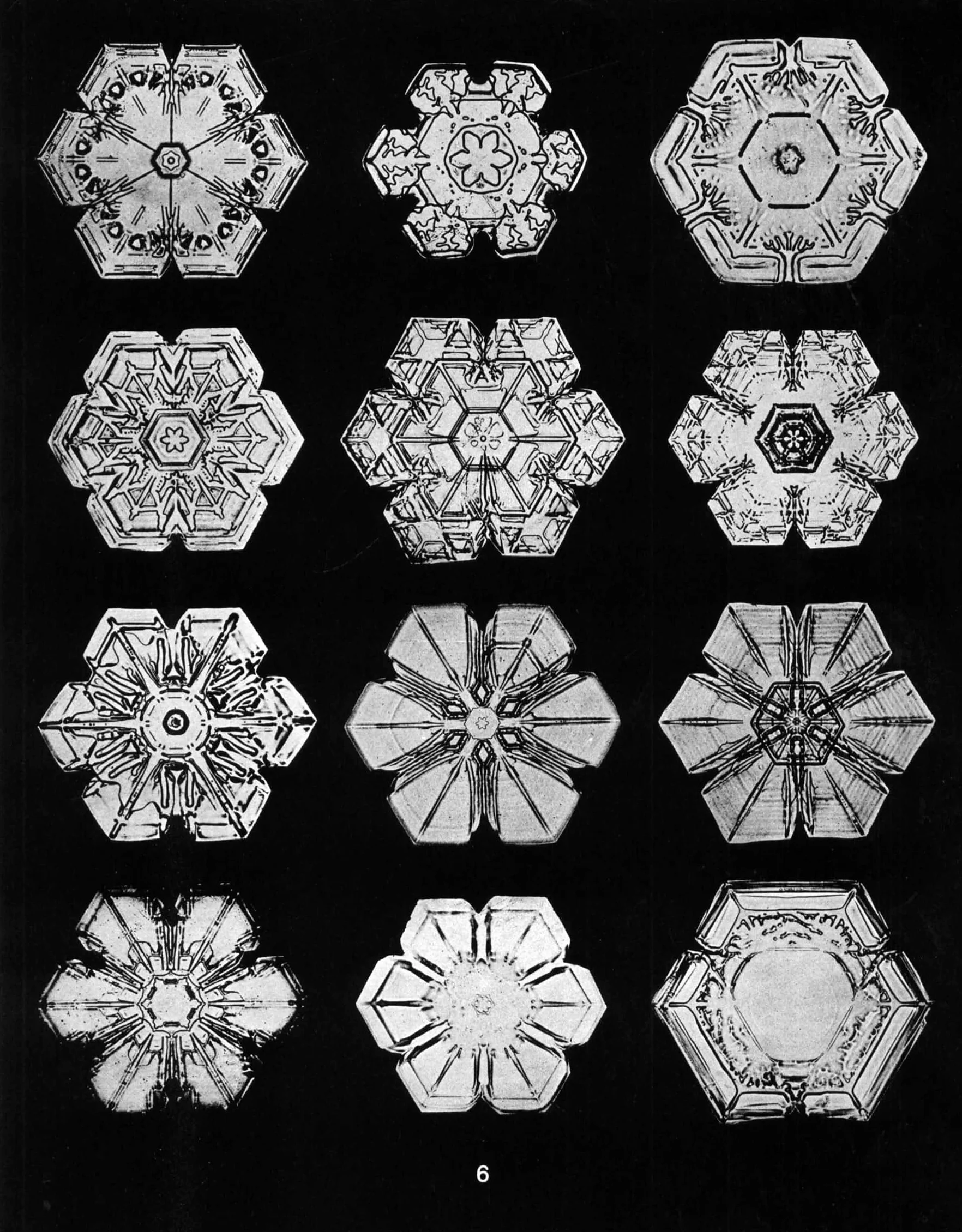 Snowflakes in Photographs