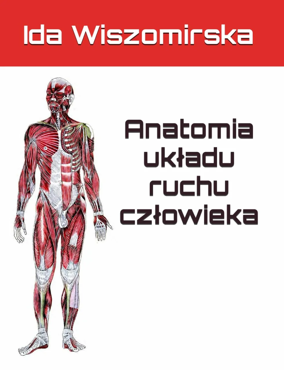 Anatomia układu ruchu człowieka