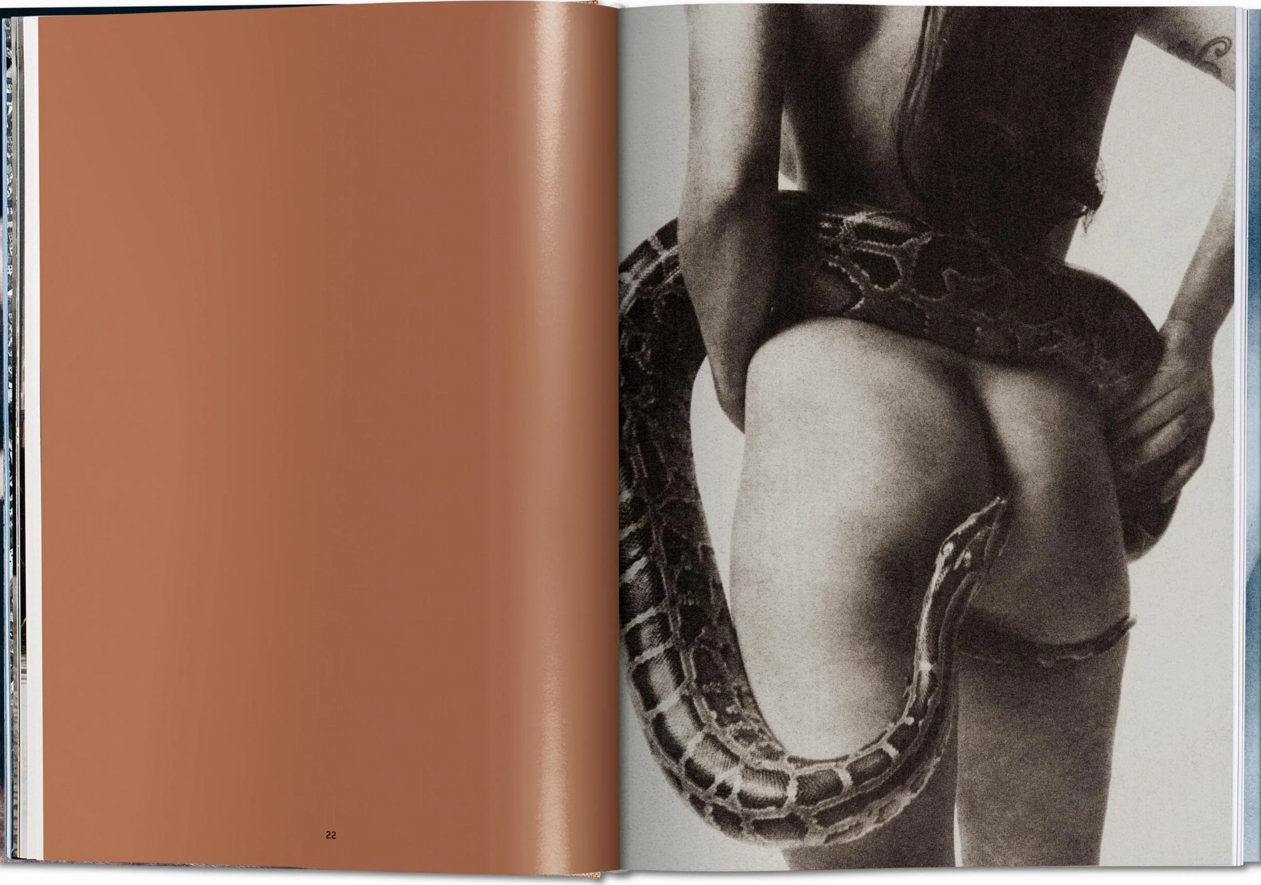 Laurent Benaim: Curious Encounters