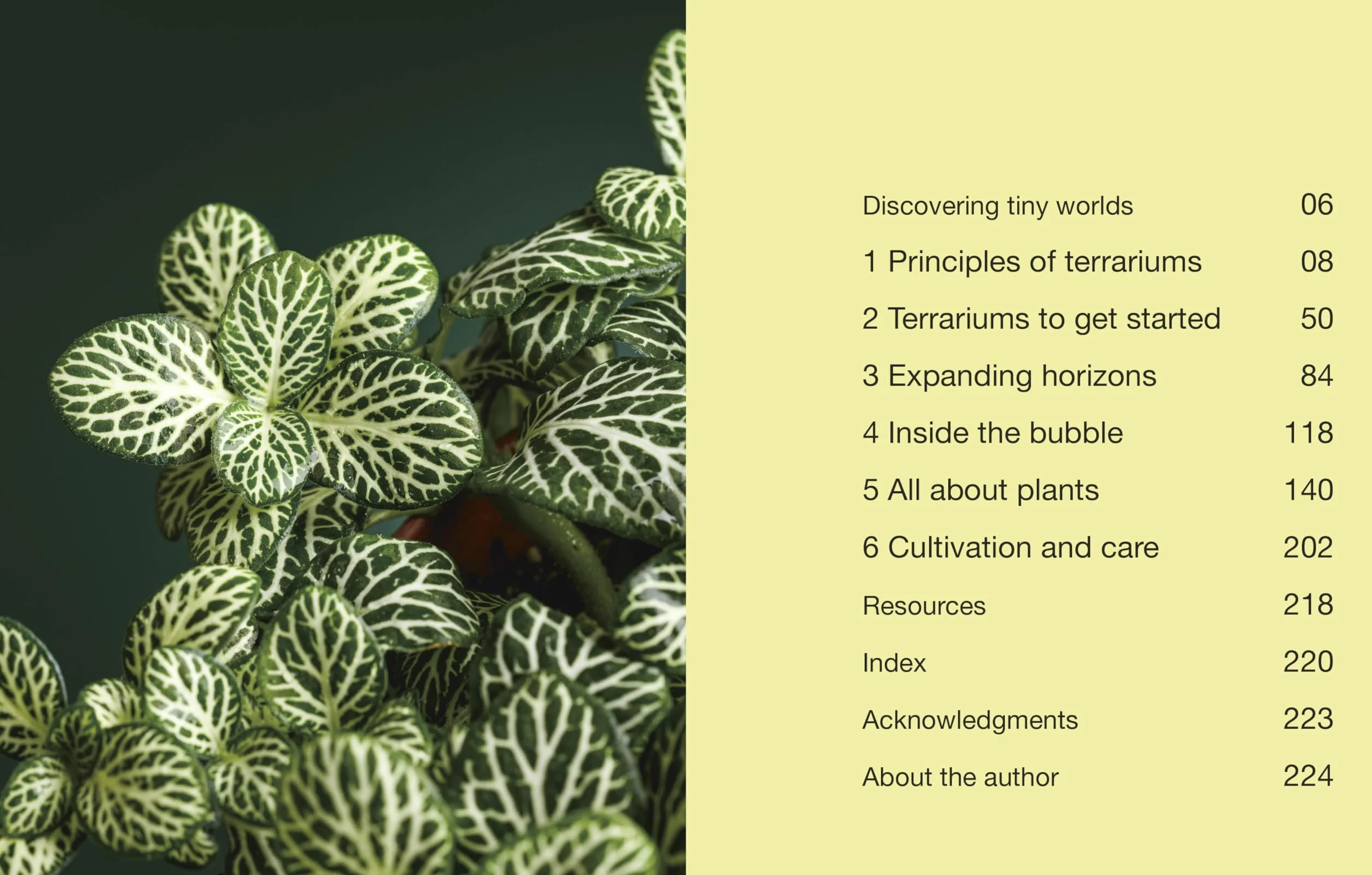 Hello Tiny World: An Enchanting Journey into the World of Creating Terrariums