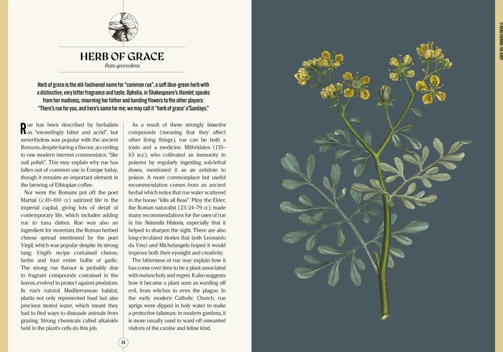Kew: The Apothecary's Garden: The Science and Mythology of Medicinal Plants