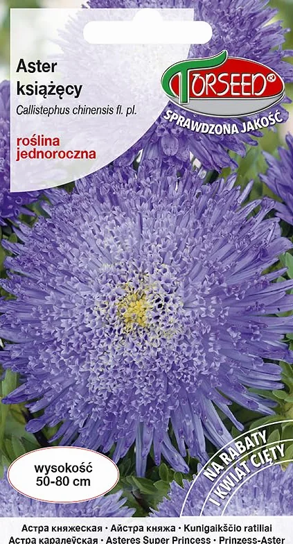 Blue Emperor Aster Aster novi-belgii nasiona – żywe kwiaty rurkowe, idealne do grządek i kwiatów ciętych, wysokość 50-80 cm, przyjazne dla początkujących jednoroczne (0,5 g)