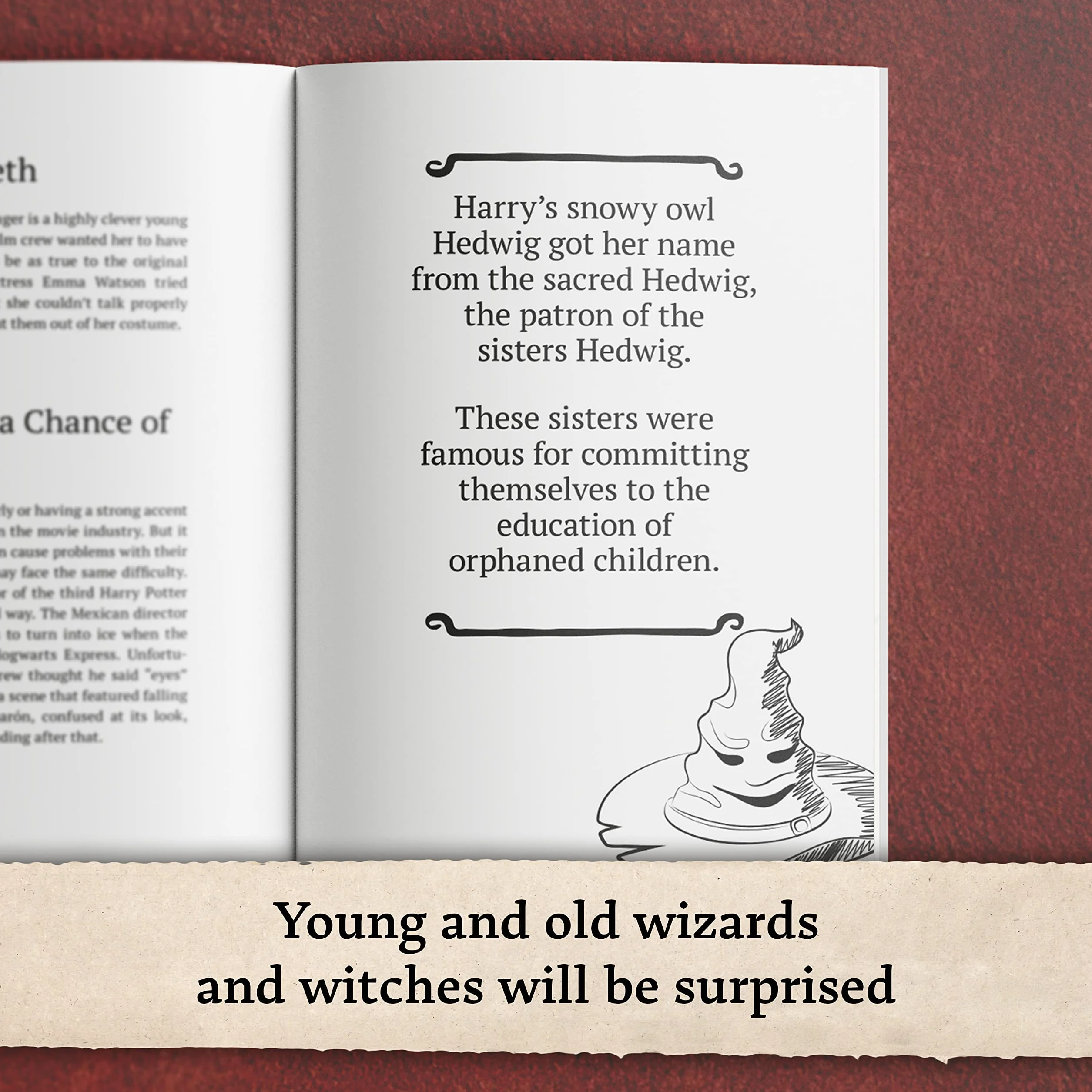 Awesome Facts for Potter Fans – The Unofficial Collection: The Encyclopedia of Secret Knowledge about the Most Famous Wizard