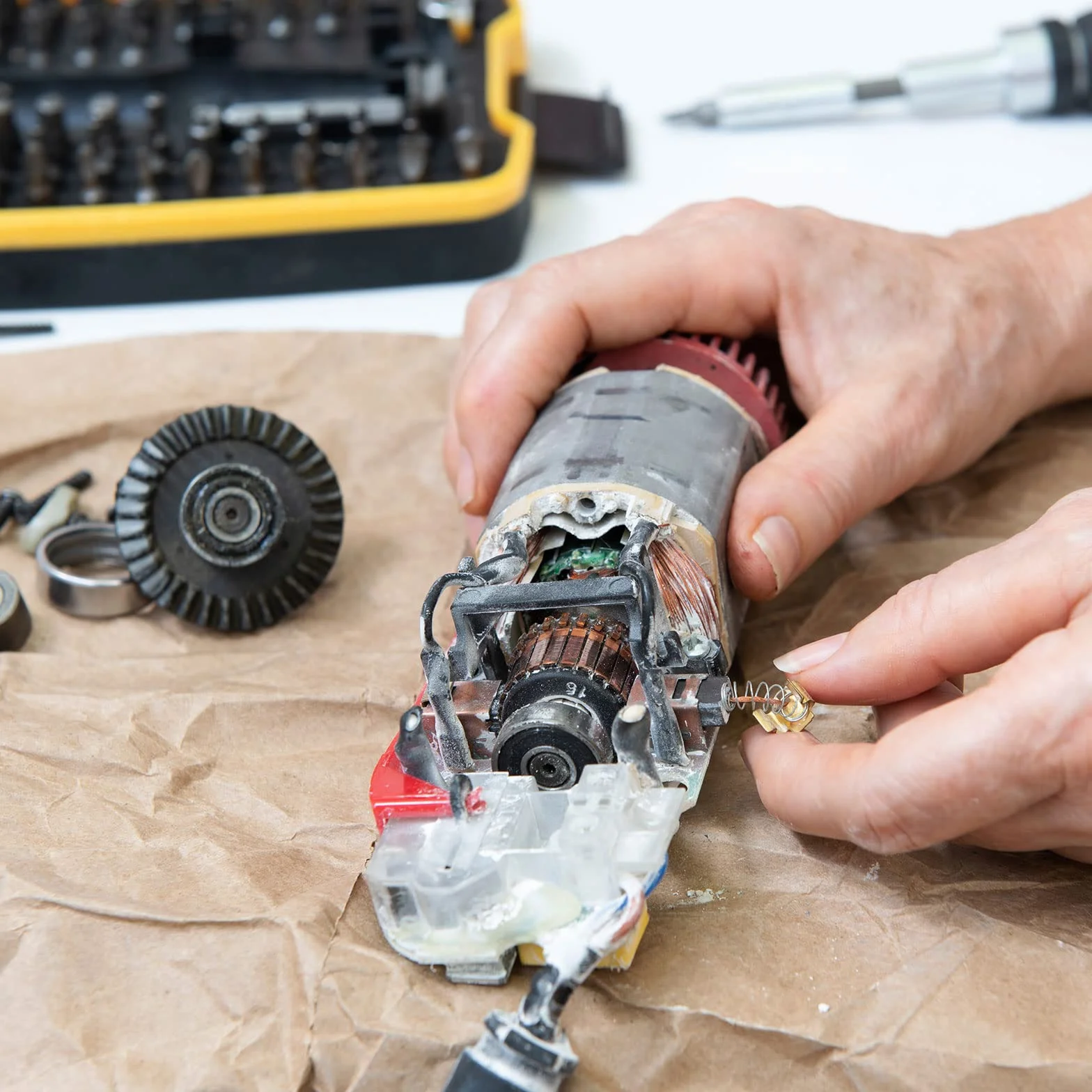 PATIKIL Szczotki węglowe 12 x 8 x 5 mm do silników elektrycznych elektronarzędzia szlifierka kątowa piła stołowa naprawa części zamiennych, 10 sztuk