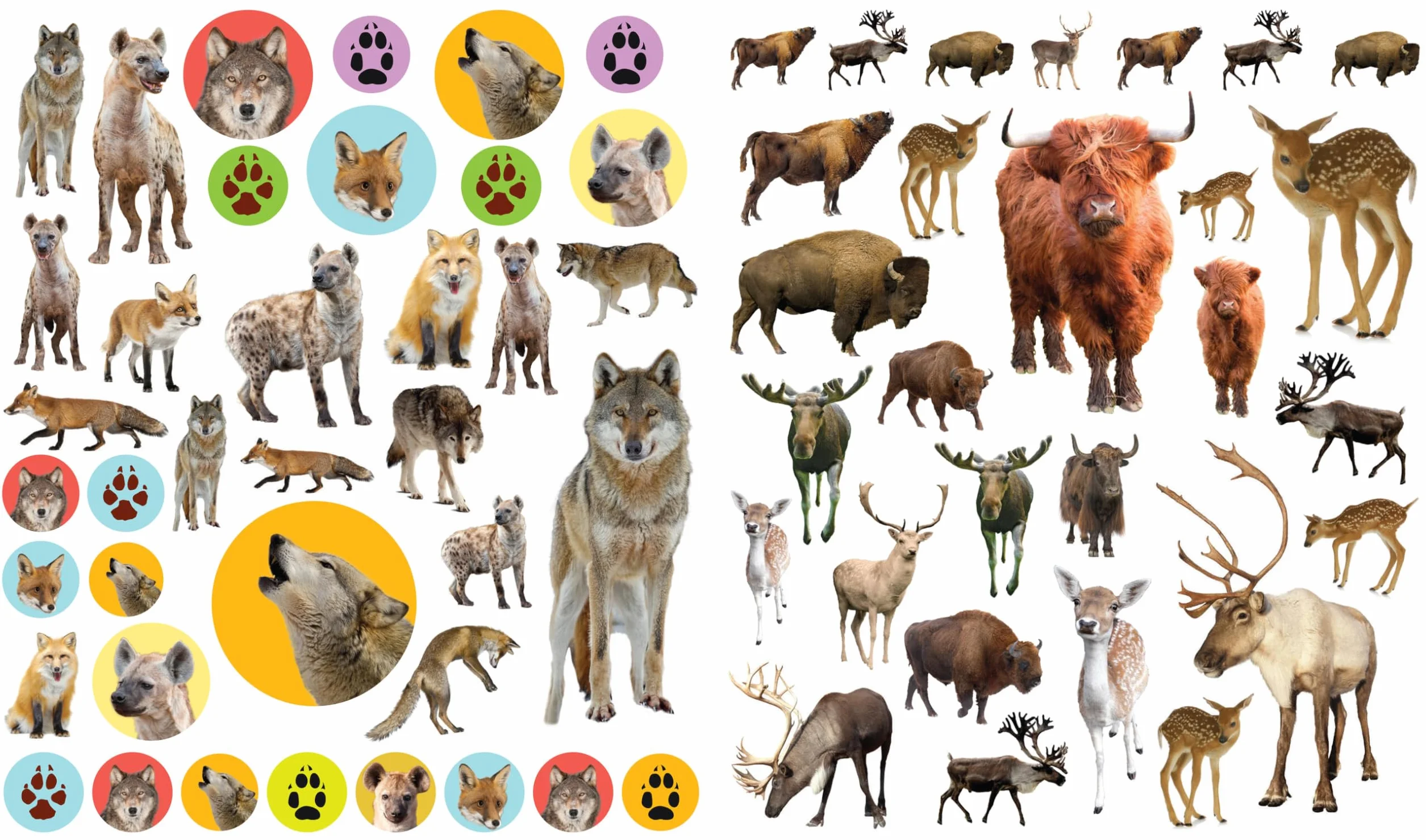 Wild Animals (Eyelike Stickers)