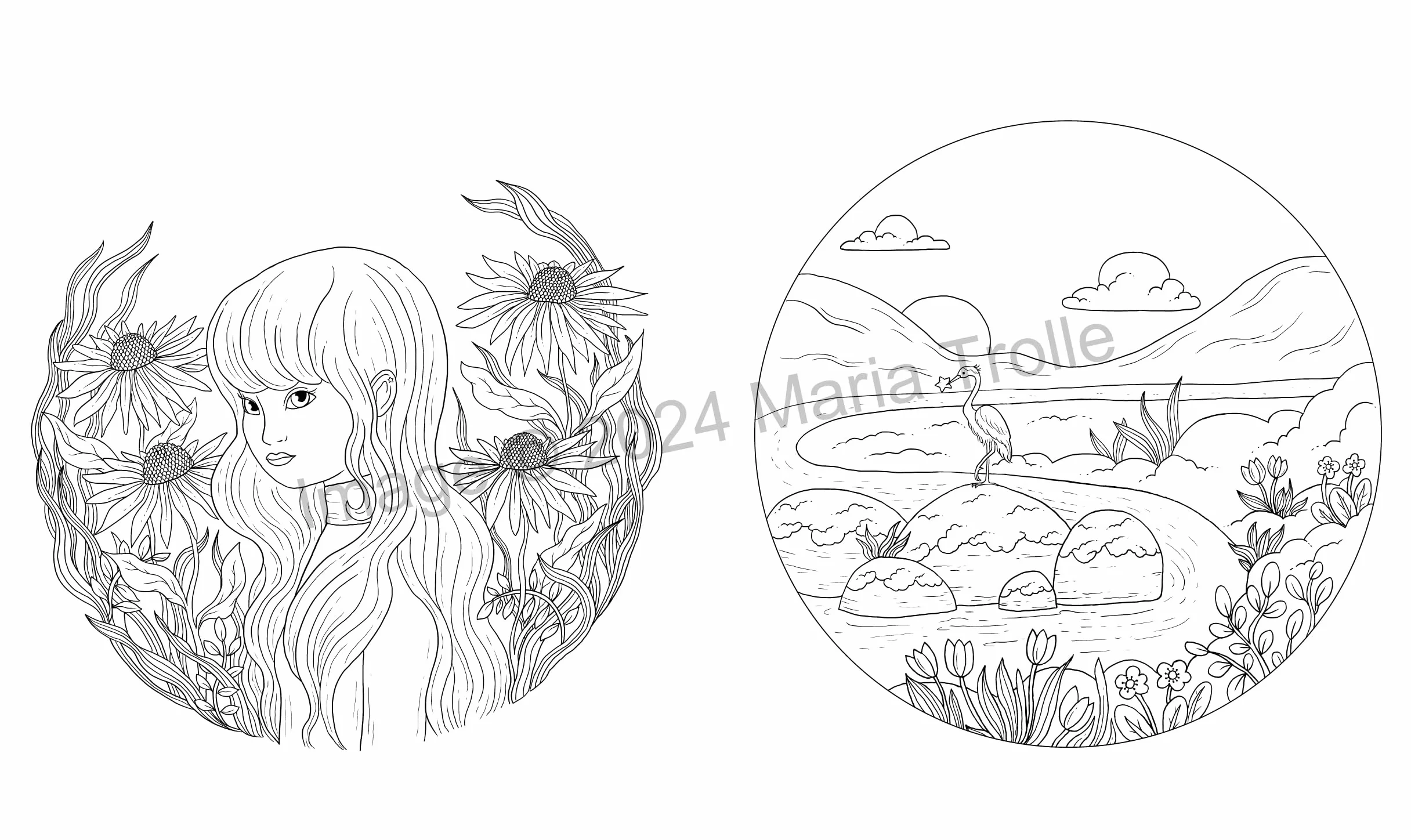Shooting Star: Coloring Book