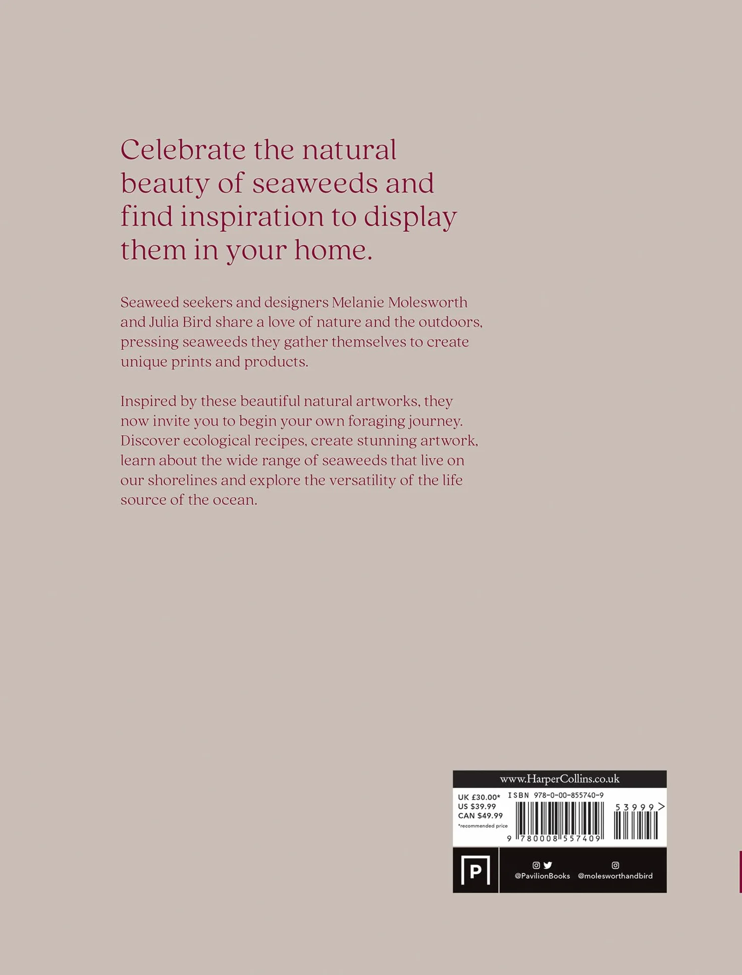 Seaweed: The sustainable guide to our oceans, with crafts, foraging, collecting and pressing
