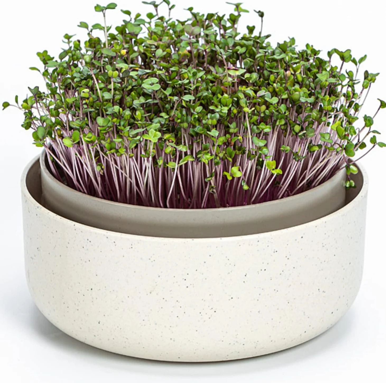 Urbalive Duża Misa na Kiełki, 16 cm, do Kiełków, Nasion Rzeżuchy, Mikrozielonych - Designerskie Sitko z Wysokiej Jakości Tworzywa Sztucznego, Pojemnik na Kiełki, Urządzenie do Kiełkowania