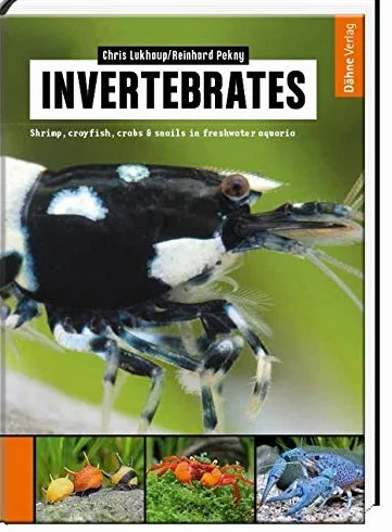 Invertebrates: Shrimp, crayfish, crabs & snails in freshwater aquaria