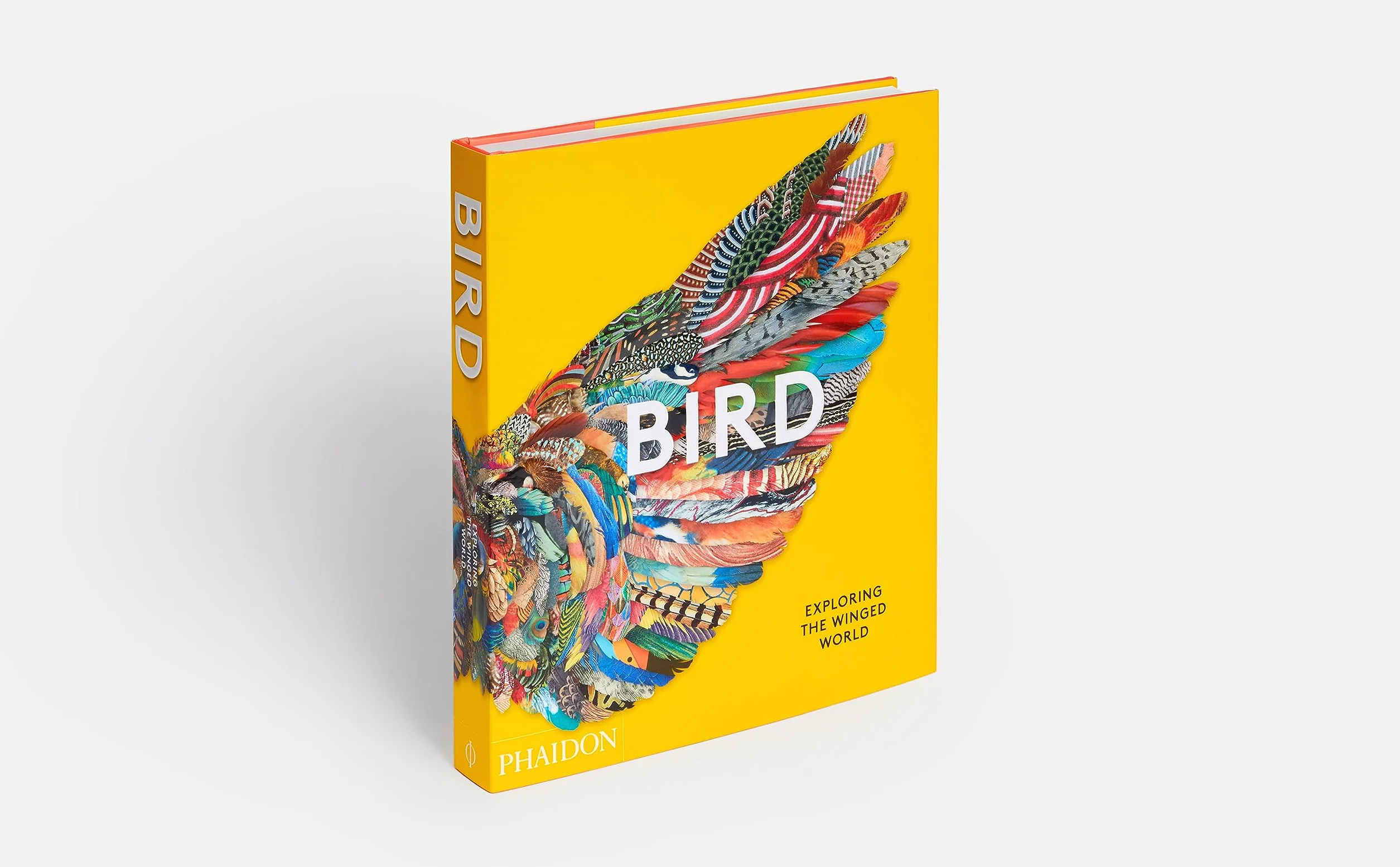 Bird: Exploring the winged world