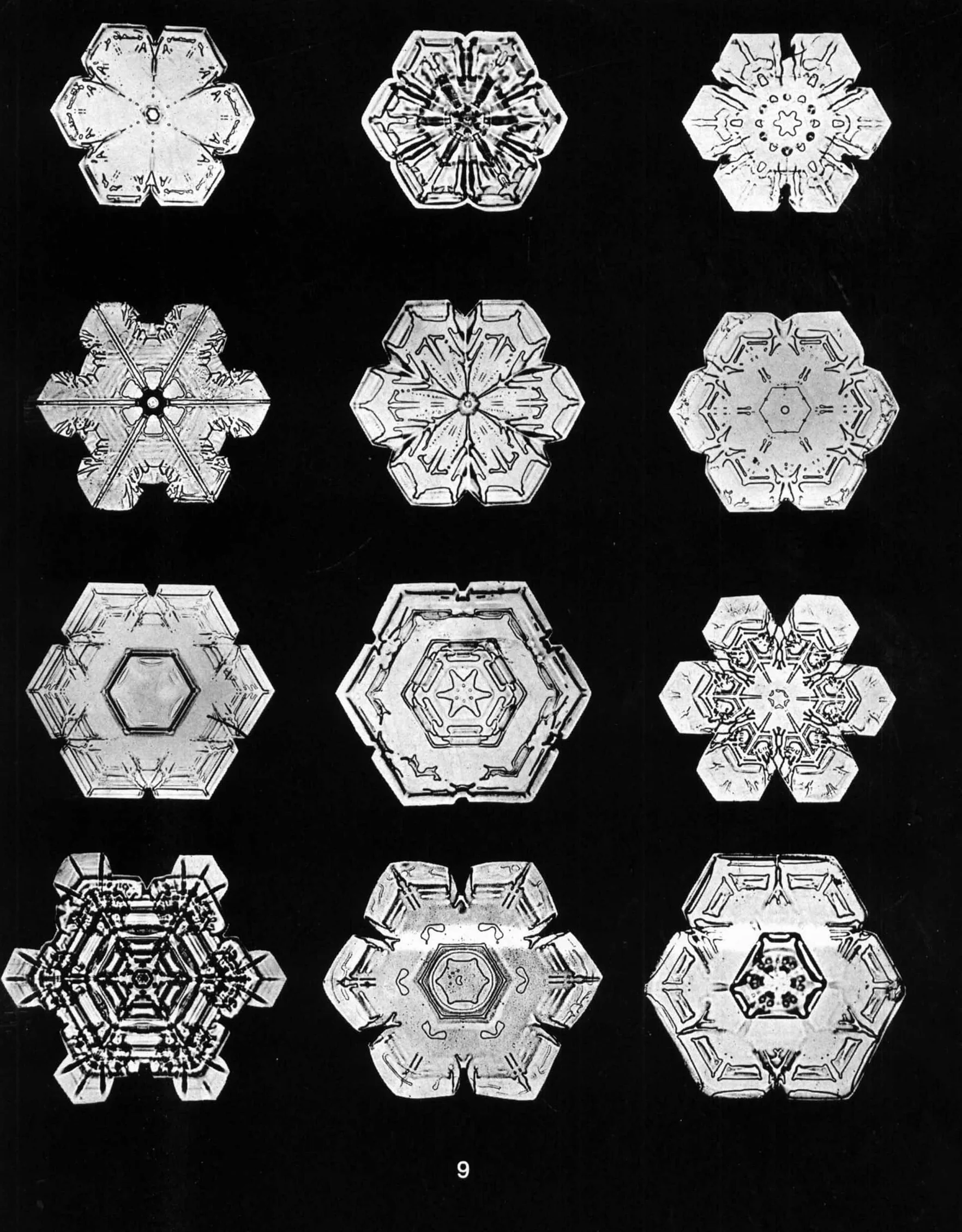 Snowflakes in Photographs