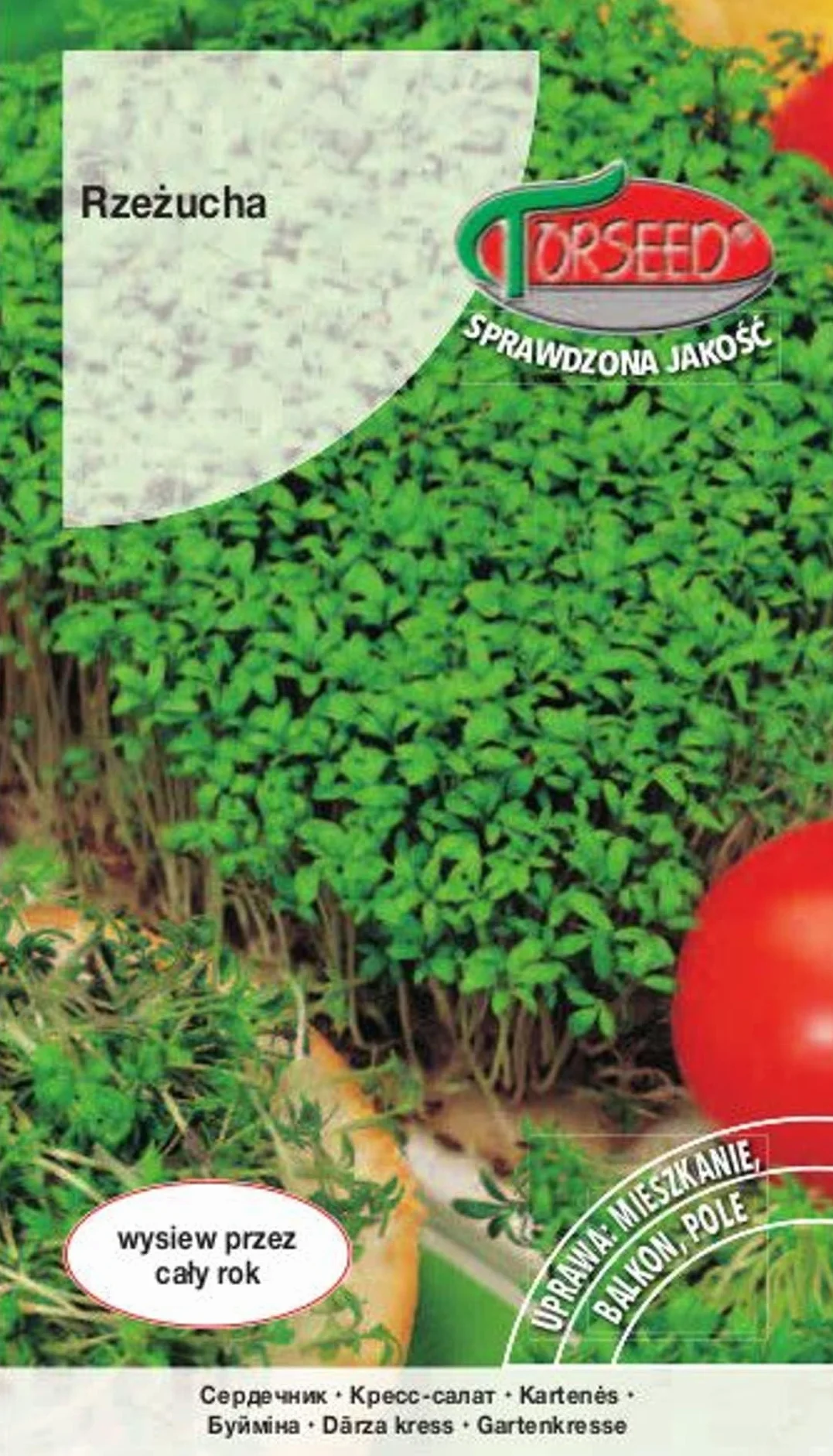 Bogata w składniki odżywcze rzeżucha ogrodowa Lepidium sativum – całoroczna uprawa wewnątrz i na zewnątrz, wszechstronne zastosowanie kulinarne, optymalne odstępy 15-20 cm (10 g)
