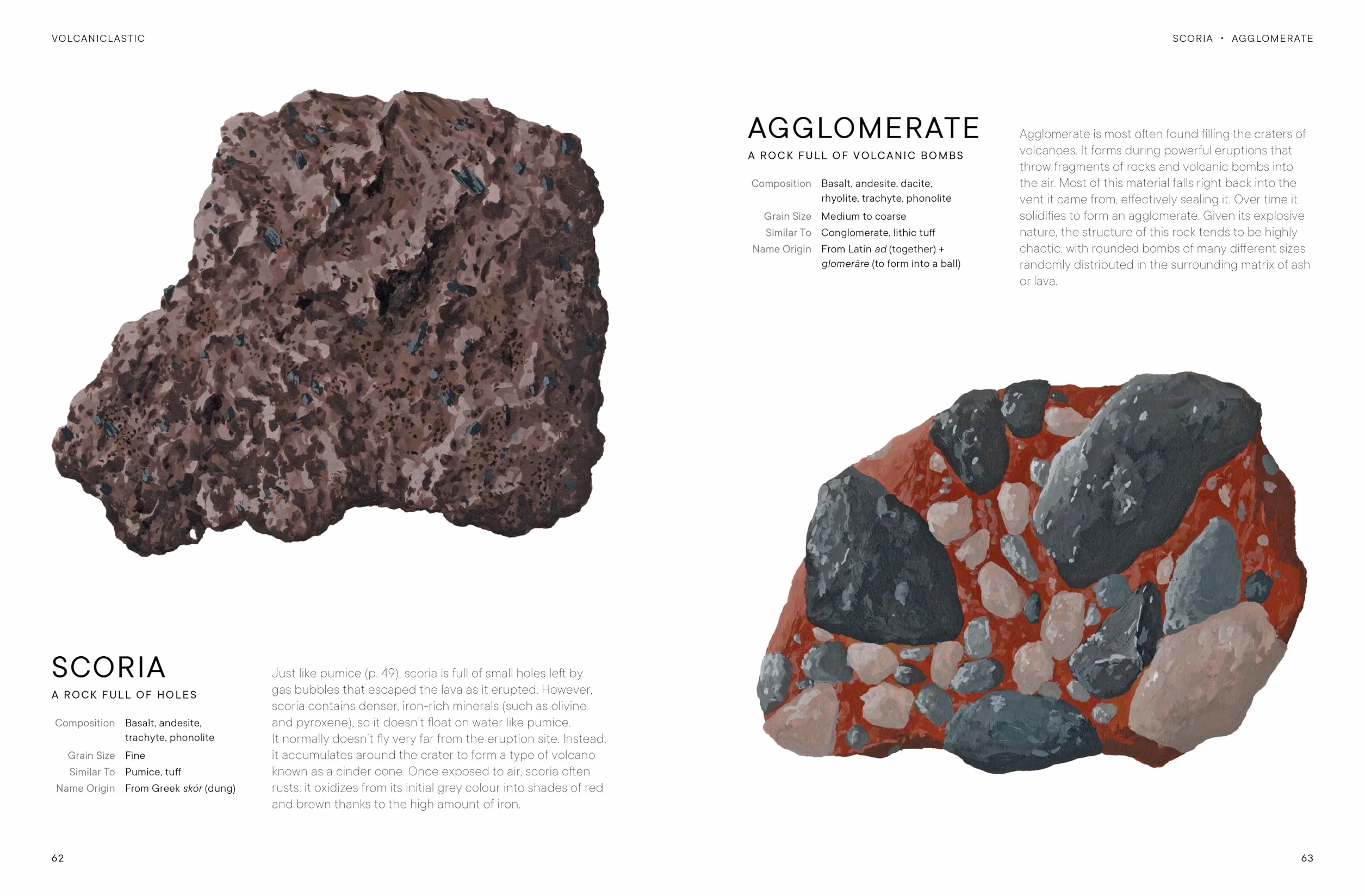 Rocks: A Guide to the Stones Around Us and the Stories They Tell