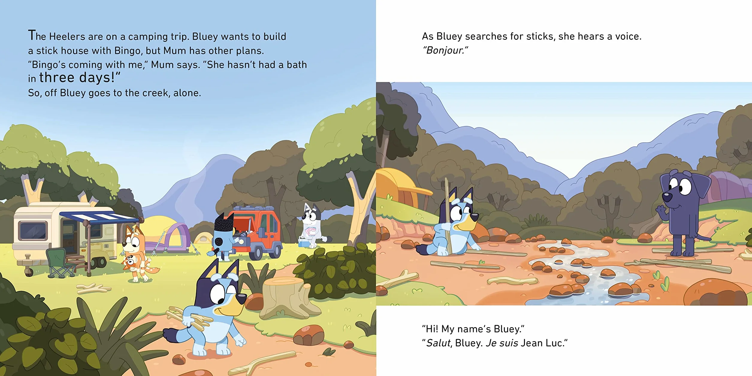 Bluey: Camping