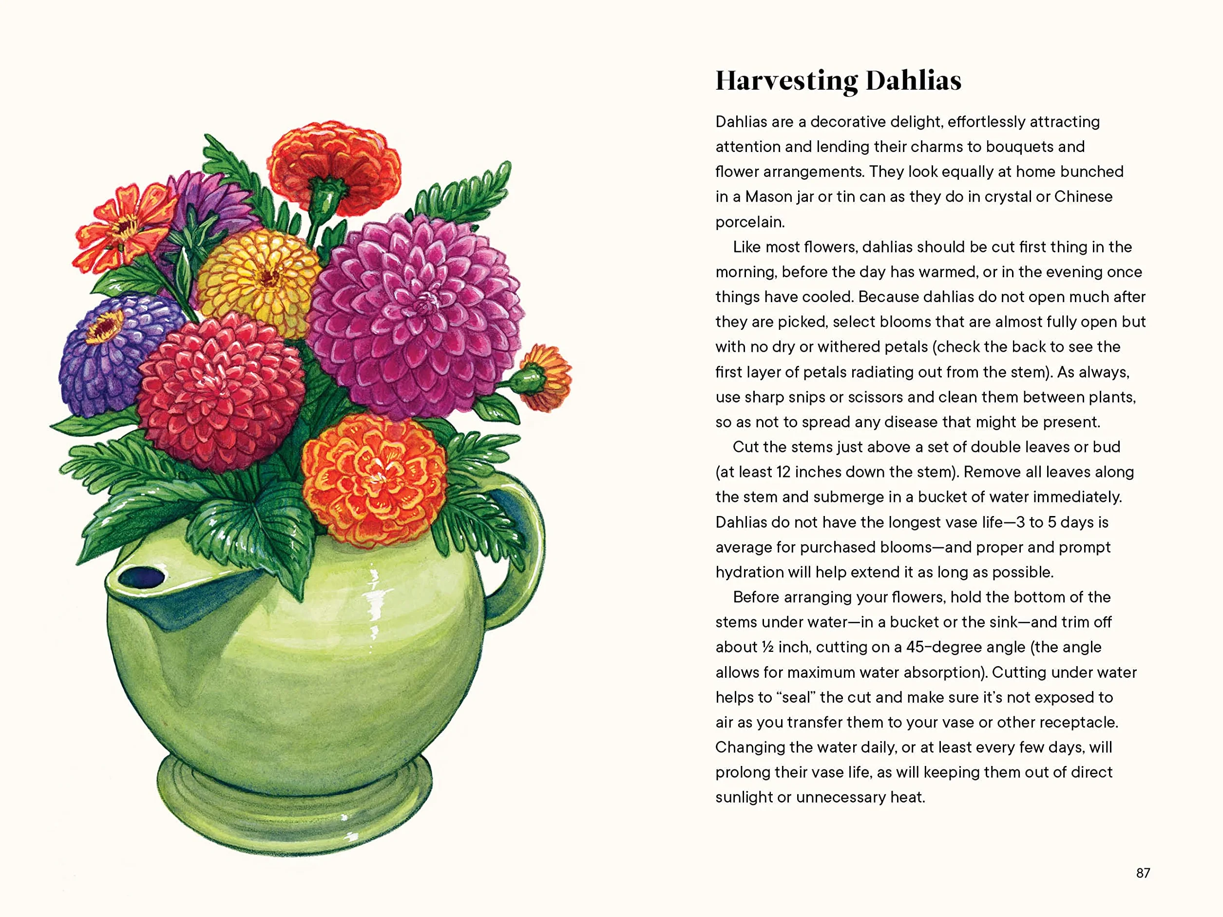 Dahlias: A Little Book of Flowers