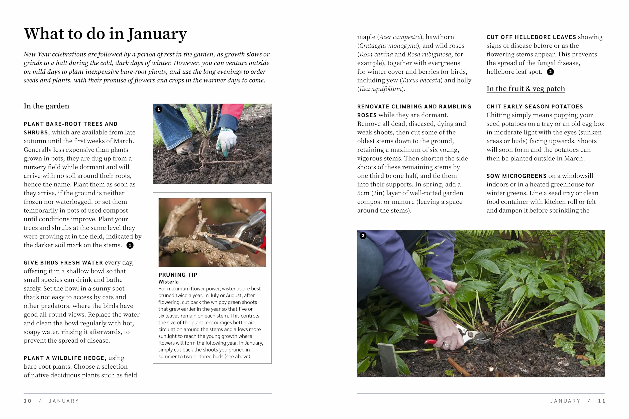 Rhs the Garden Almanac 2026: The Month-By-Month Guide to Your Best Ever Gardening Year
