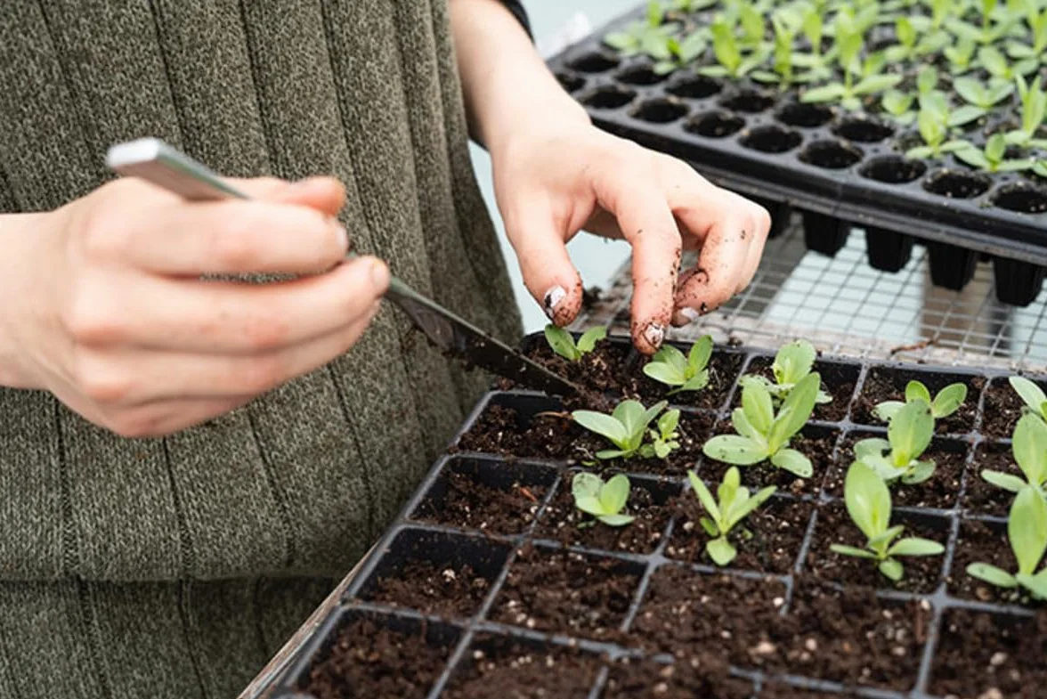 BIOVITA Do wysiewu z włóknami kokosowymi, 5 l, wieloskładnikowa ziemia do roślin, gotowa do użycia, ziemia pochodzenia naturalnego