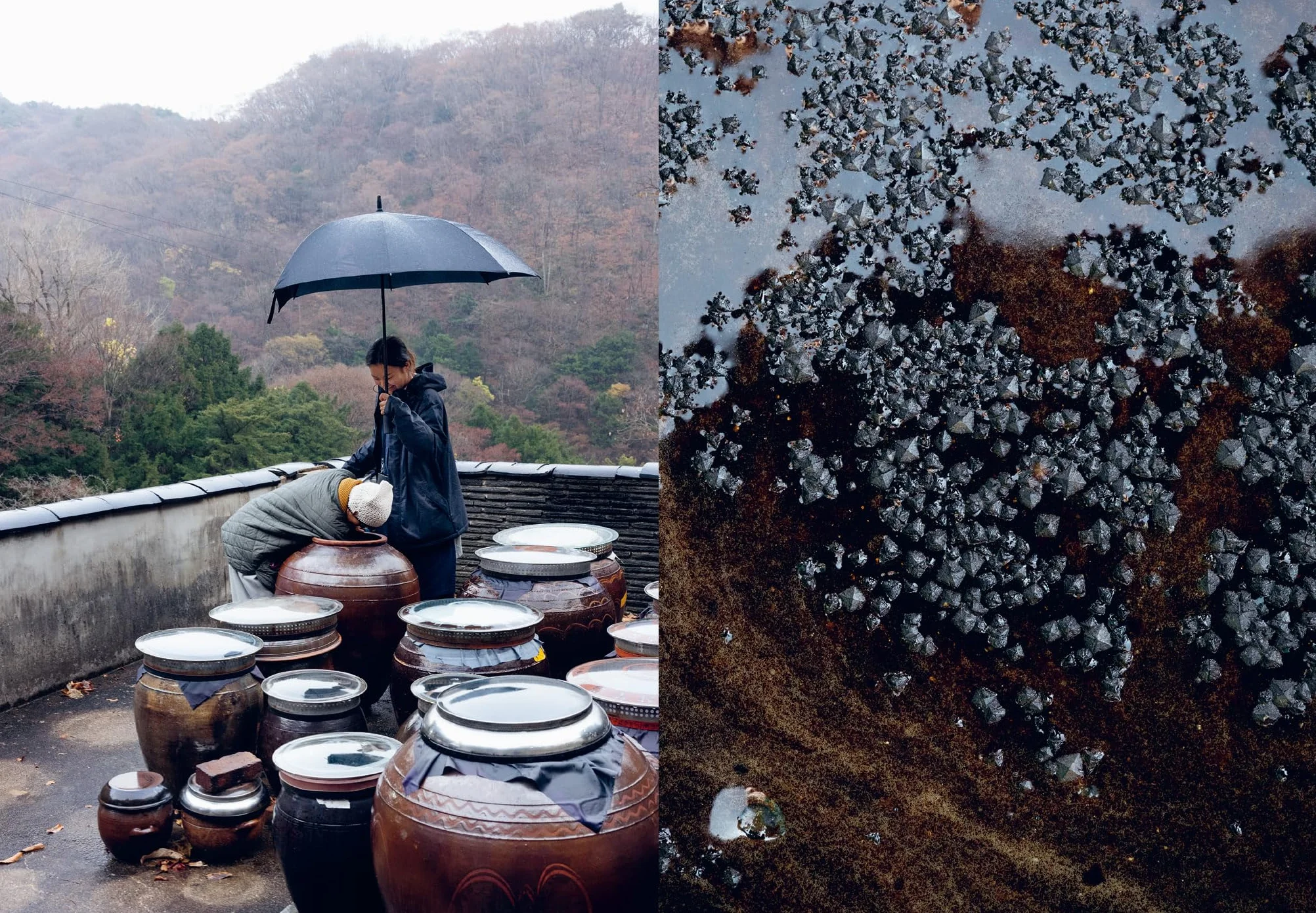 Korean Temple Cooking: Lessons on Life and Buddhism, with Recipes, the Life and Work of Jeongkwan Snim