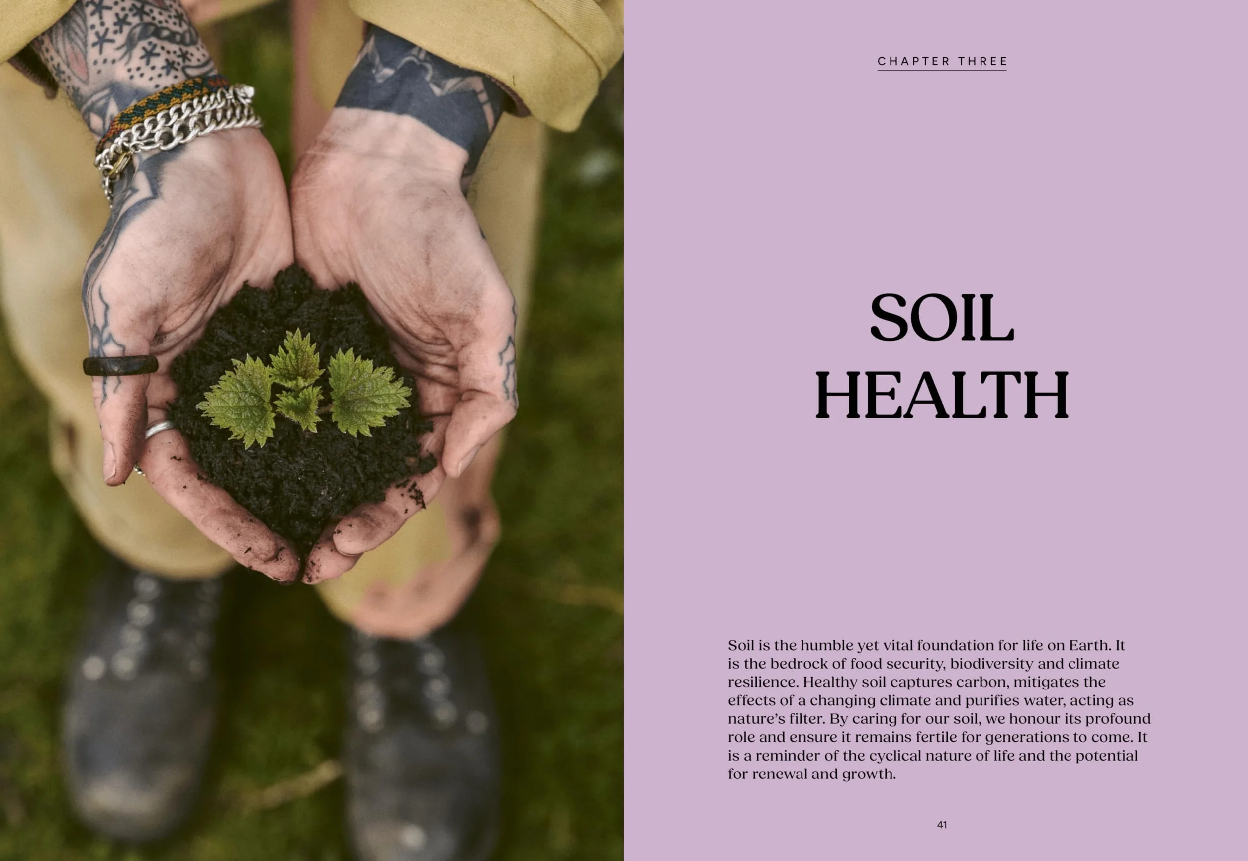Nettles & Petals: Grow Food. Eat Weeds. Save Seeds. the Sunday Times Bestseller