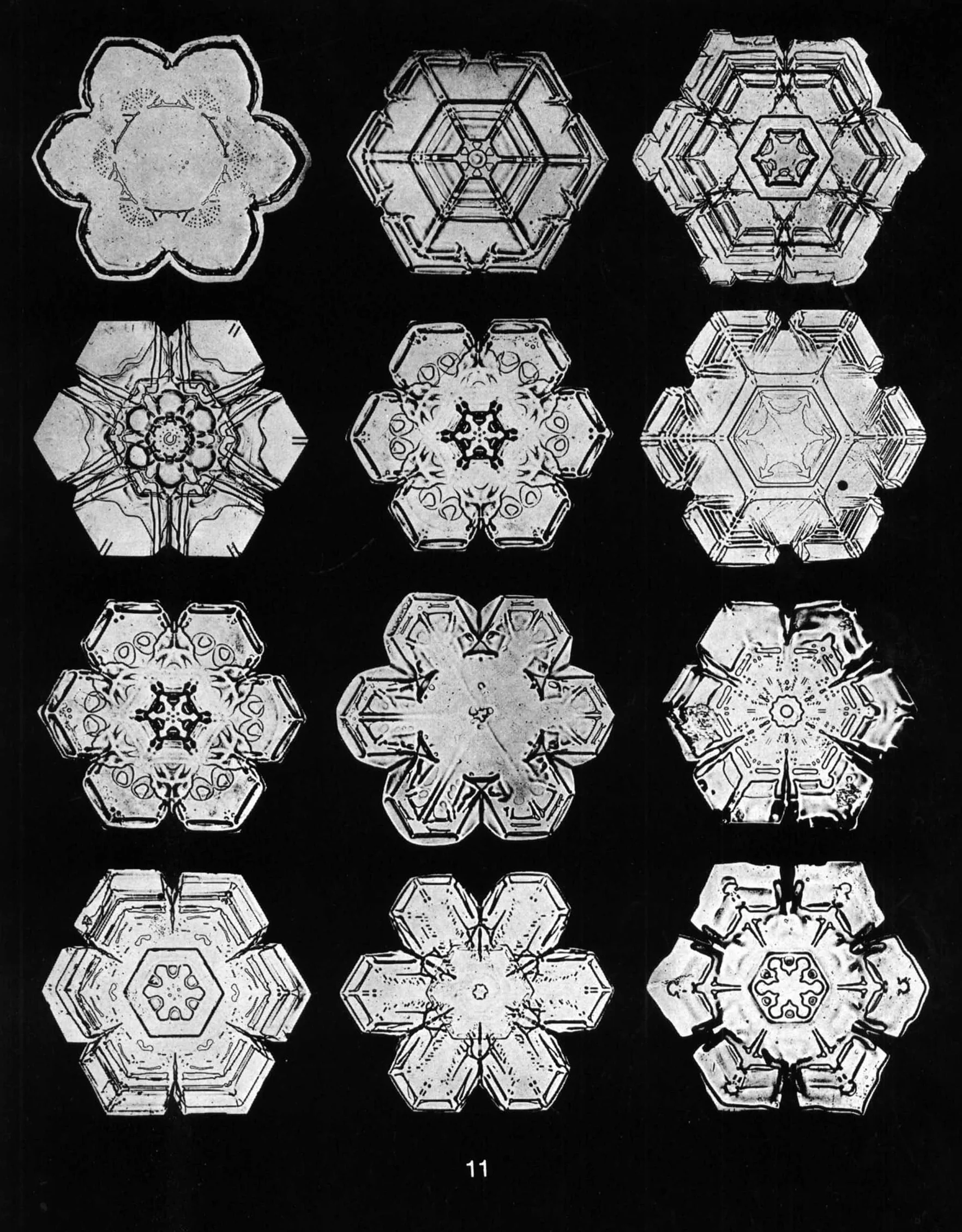 Snowflakes in Photographs