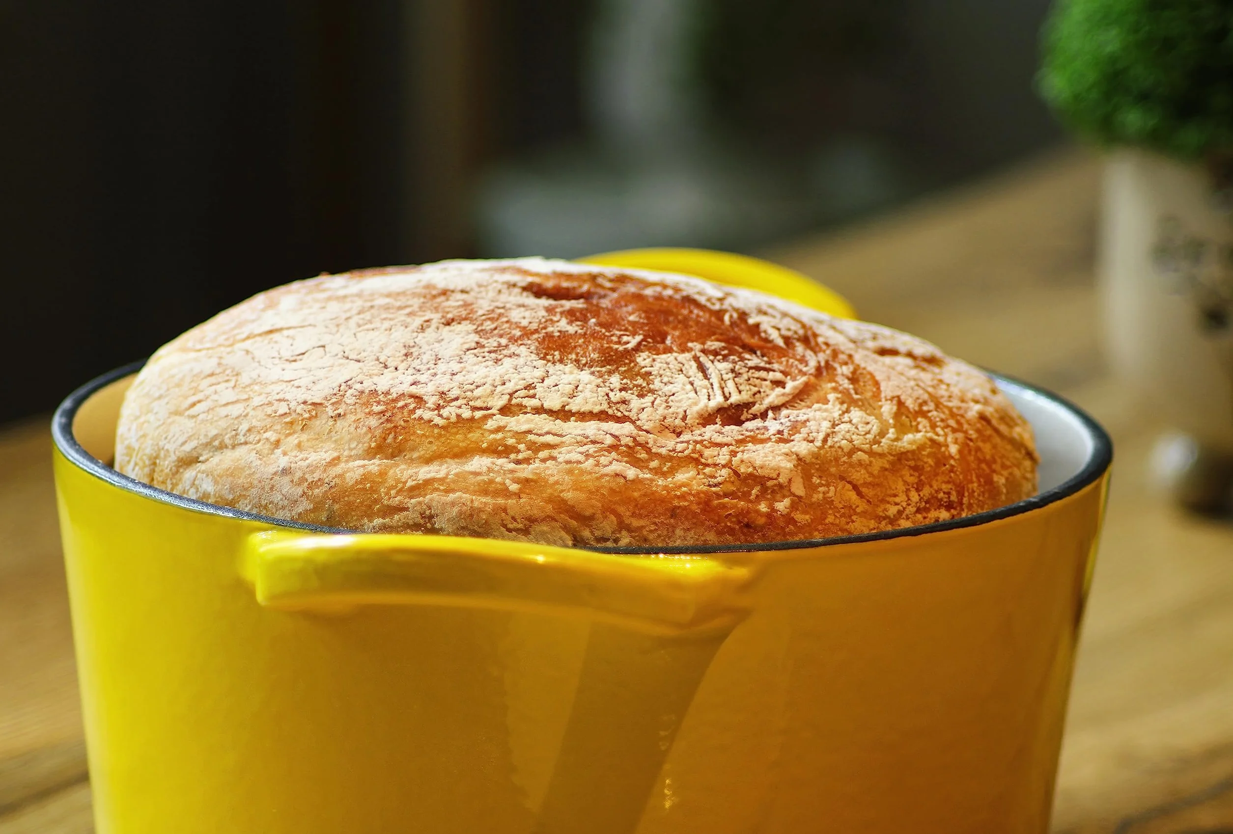 ECHTWERK Zapiekanka żeliwna z powłoką emaliowaną, garnek żeliwny, brytfanna z pokrywką, okrągły garnek do pieczenia chleba, odpowiedni do piekarników, grilli, grillów i indukcji, żółty, 3,5 L