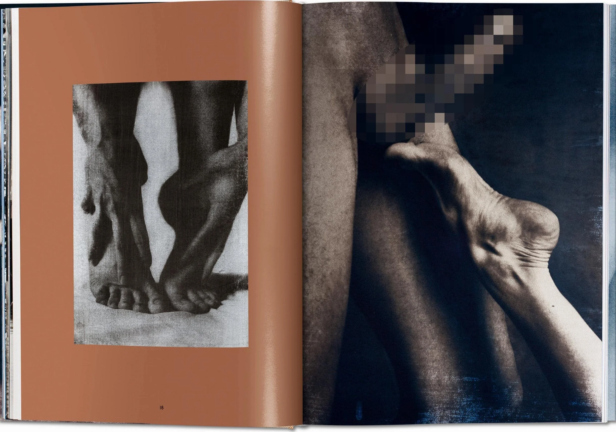 Laurent Benaim: Curious Encounters