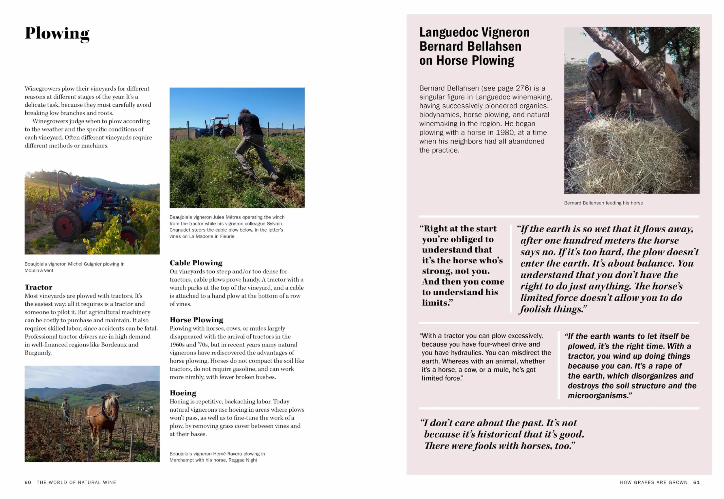 The World of Natural Wine: What It Is, Who Makes It, and Why It Matters