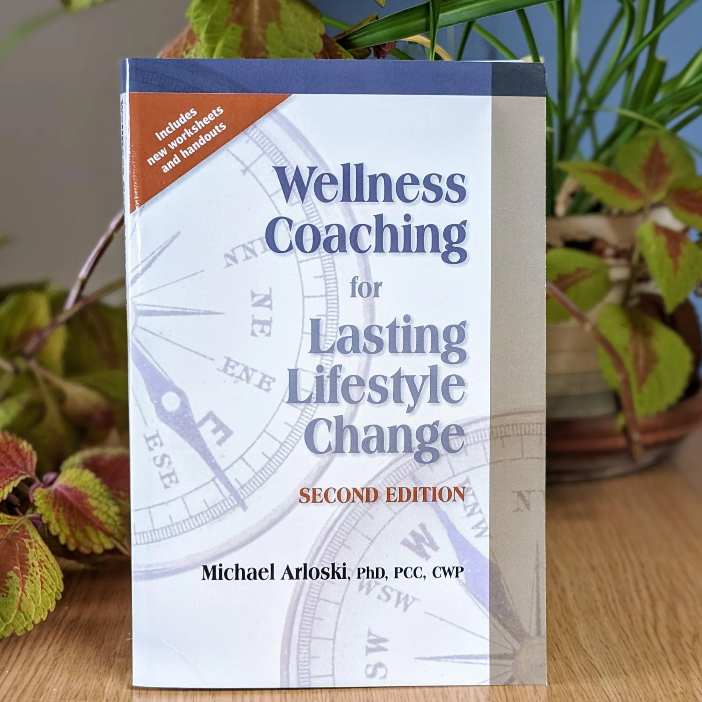 Wellness Coaching for Lasting Lifestyle Change