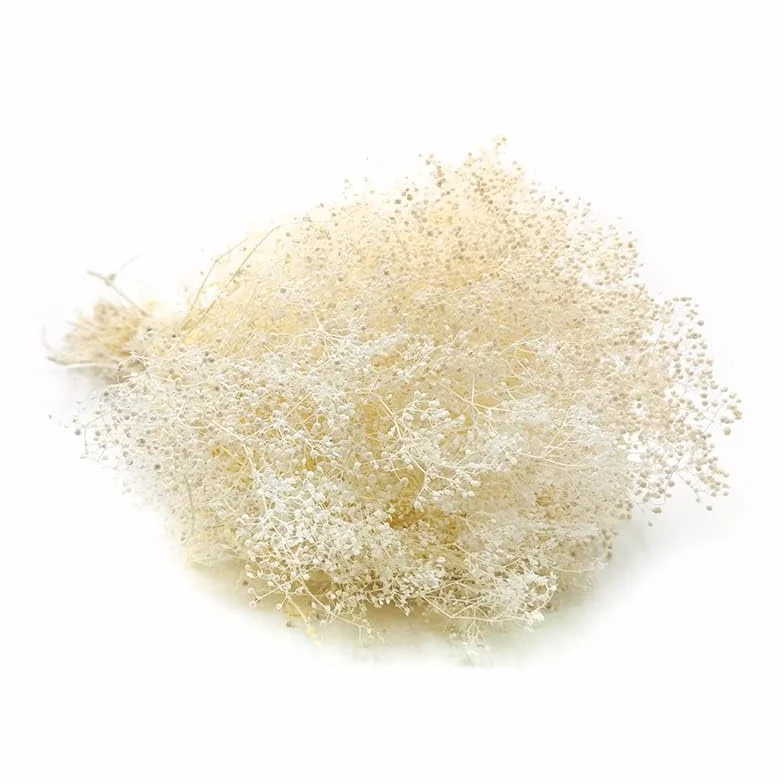 Gipsówka Stabilizowana MINI - (gypsophila) - Bielona