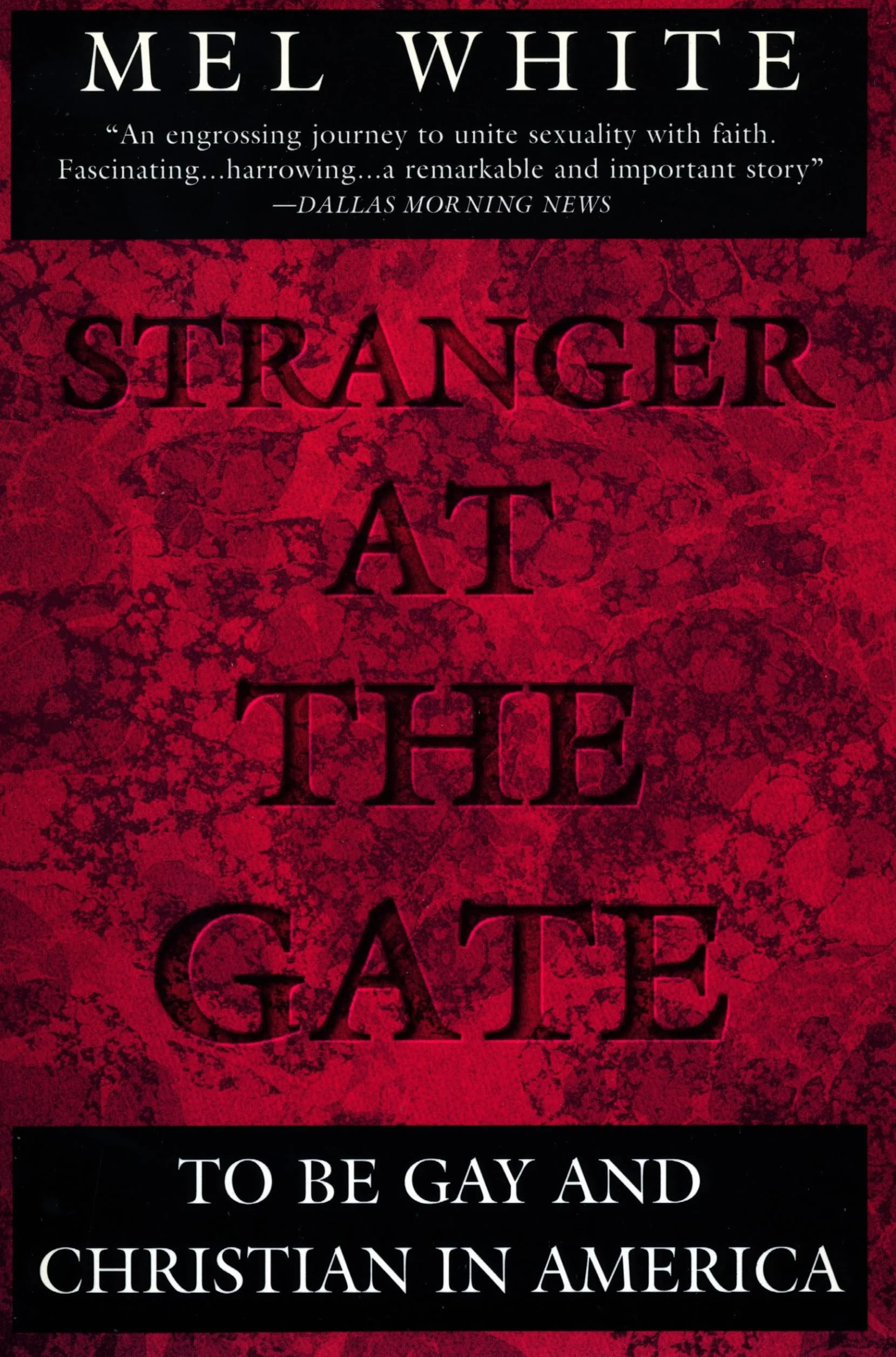 Stranger at the Gate: To Be Gay and Christian in America