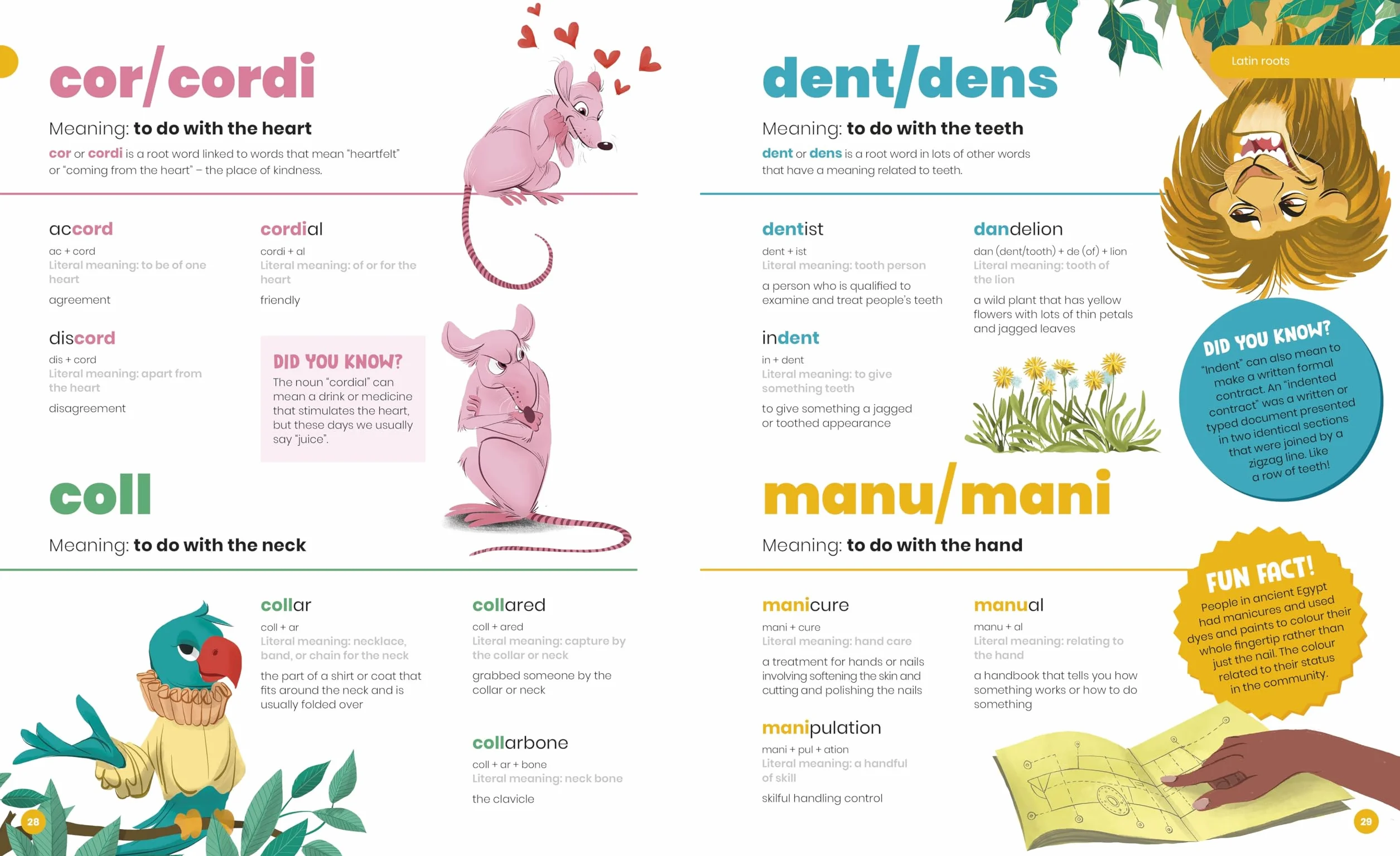 DK Super Where Words Come From: Guide to Morphology with Prefixes, Suffixes and Root Words