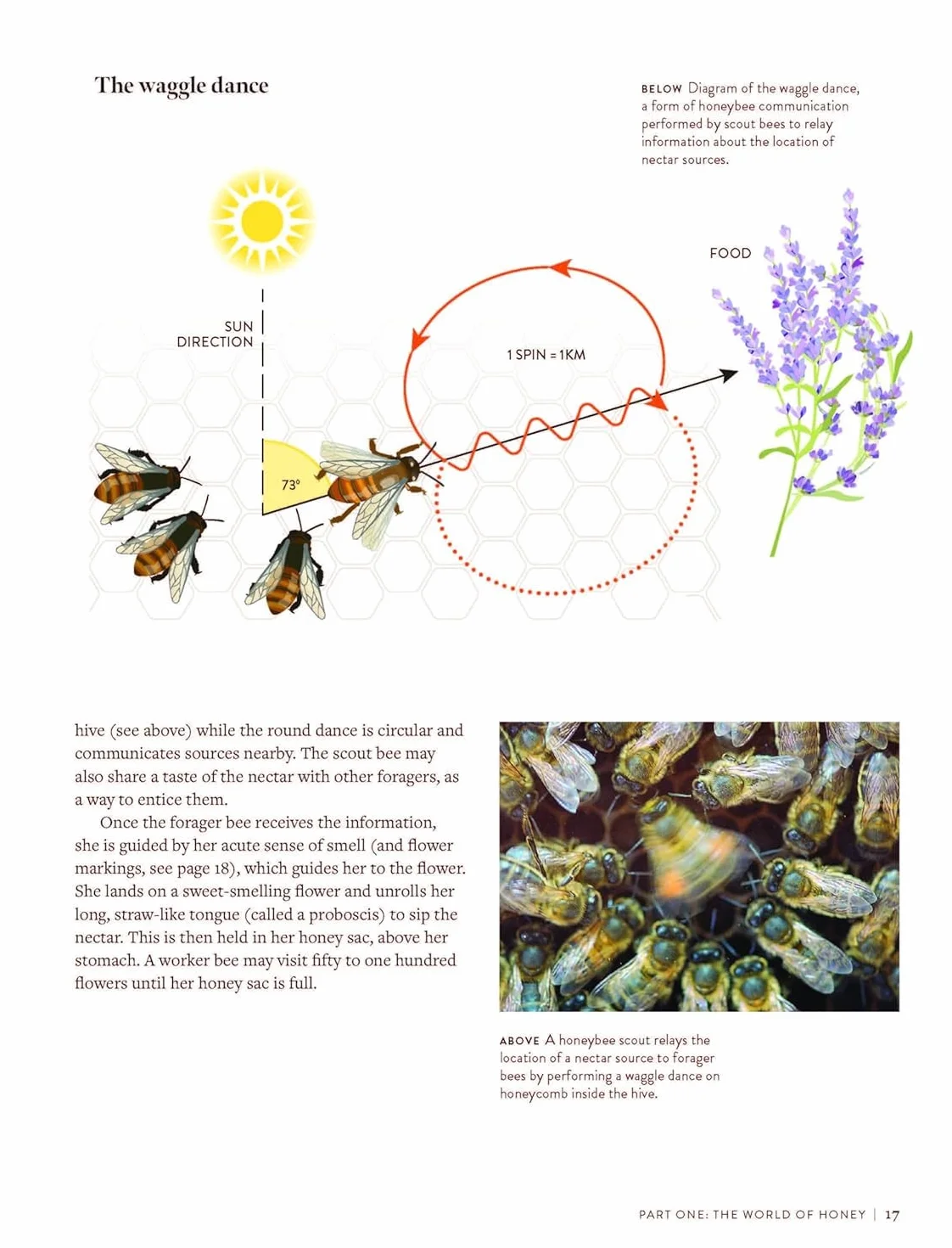 The World Atlas of Honey