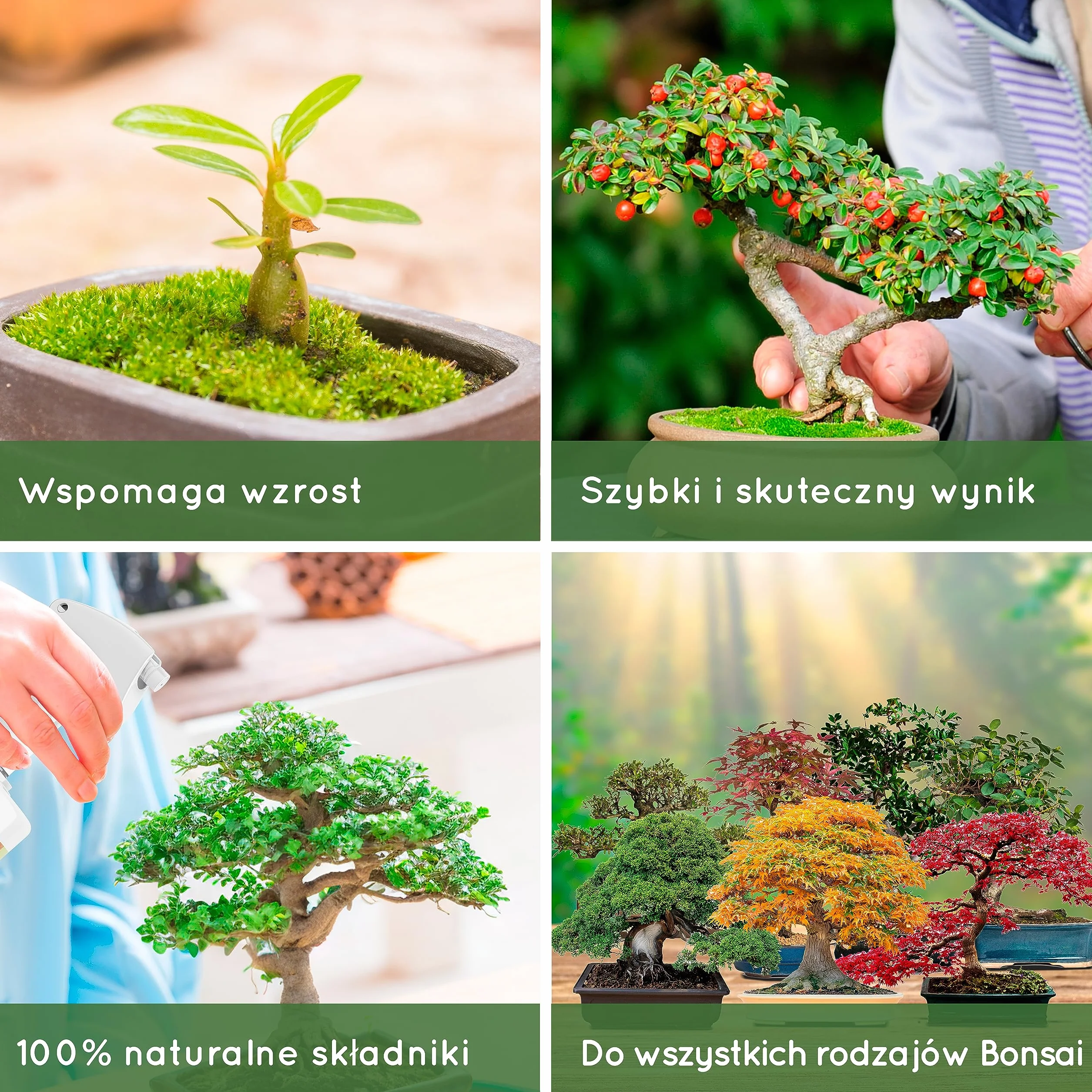 500ml Organiczny Nawóz w Płynie Bonsai - Poprawia Zdrowie Bonsai, Żyzność Gleby i Ogólną Wytrzymałość - 100% Naturalny - Wyprodukowano w UE - Spray Gotowy Do Użycia Na Wszystkie Rodzaje Bonsai.