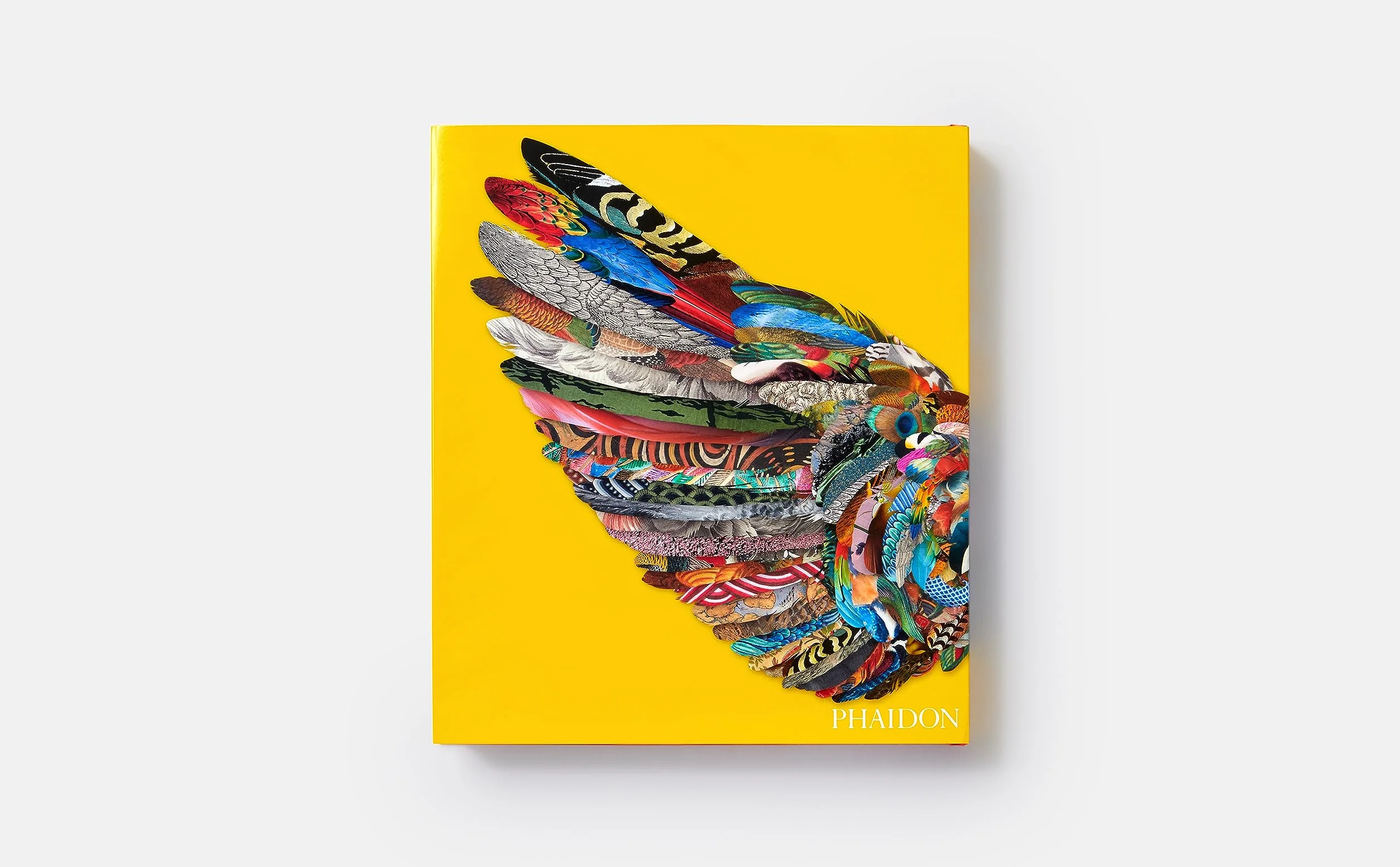 Bird: Exploring the winged world