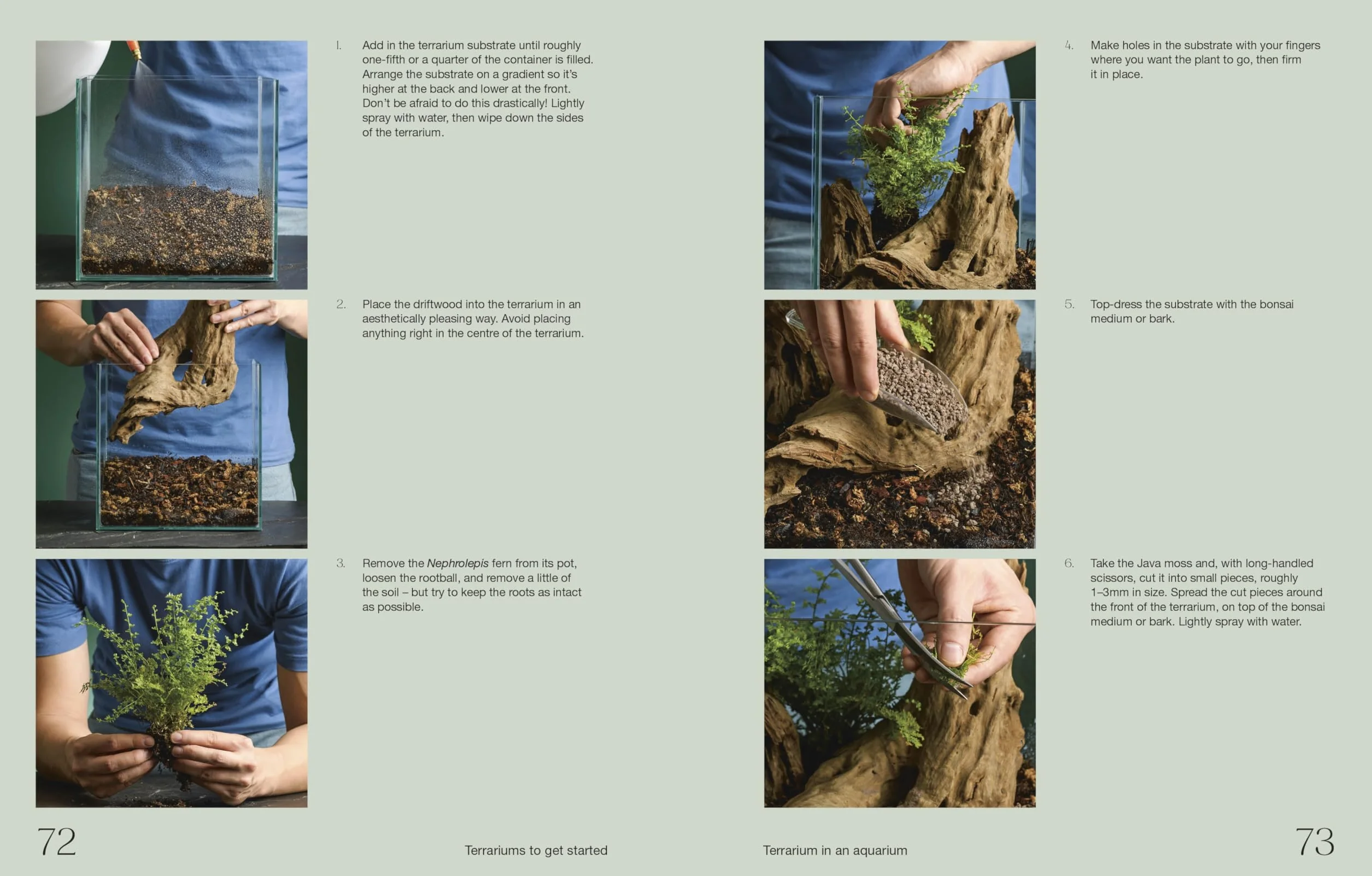 Hello Tiny World: An Enchanting Journey into the World of Creating Terrariums