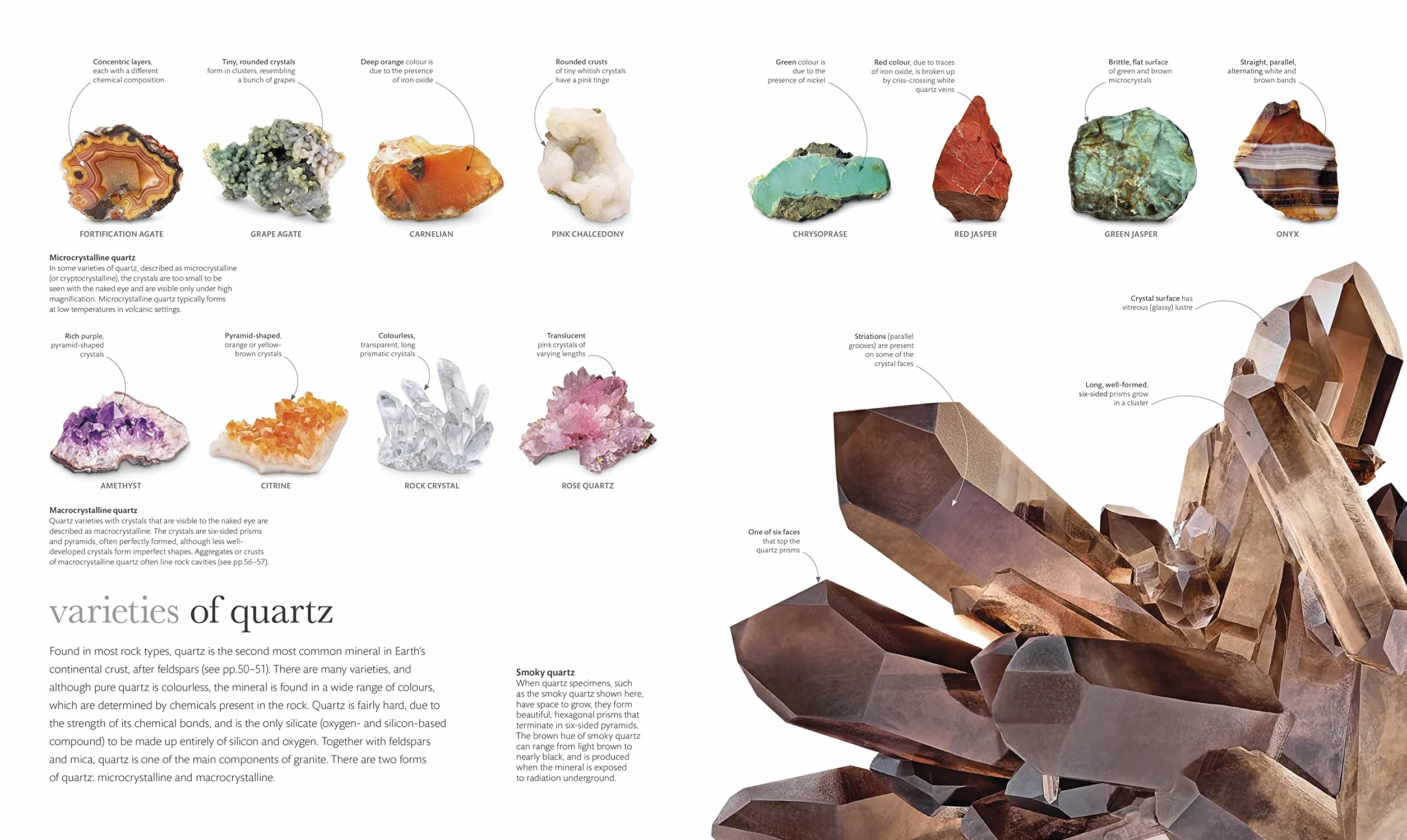 The Science of the Earth: The Secrets of Our Planet Revealed