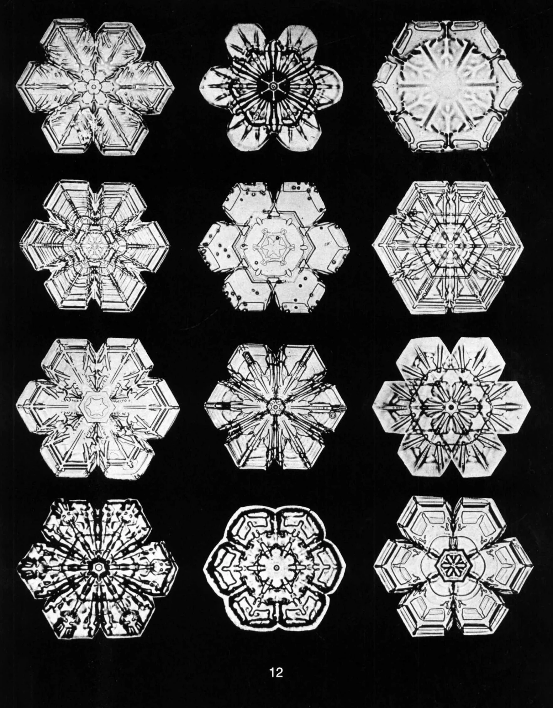Snowflakes in Photographs