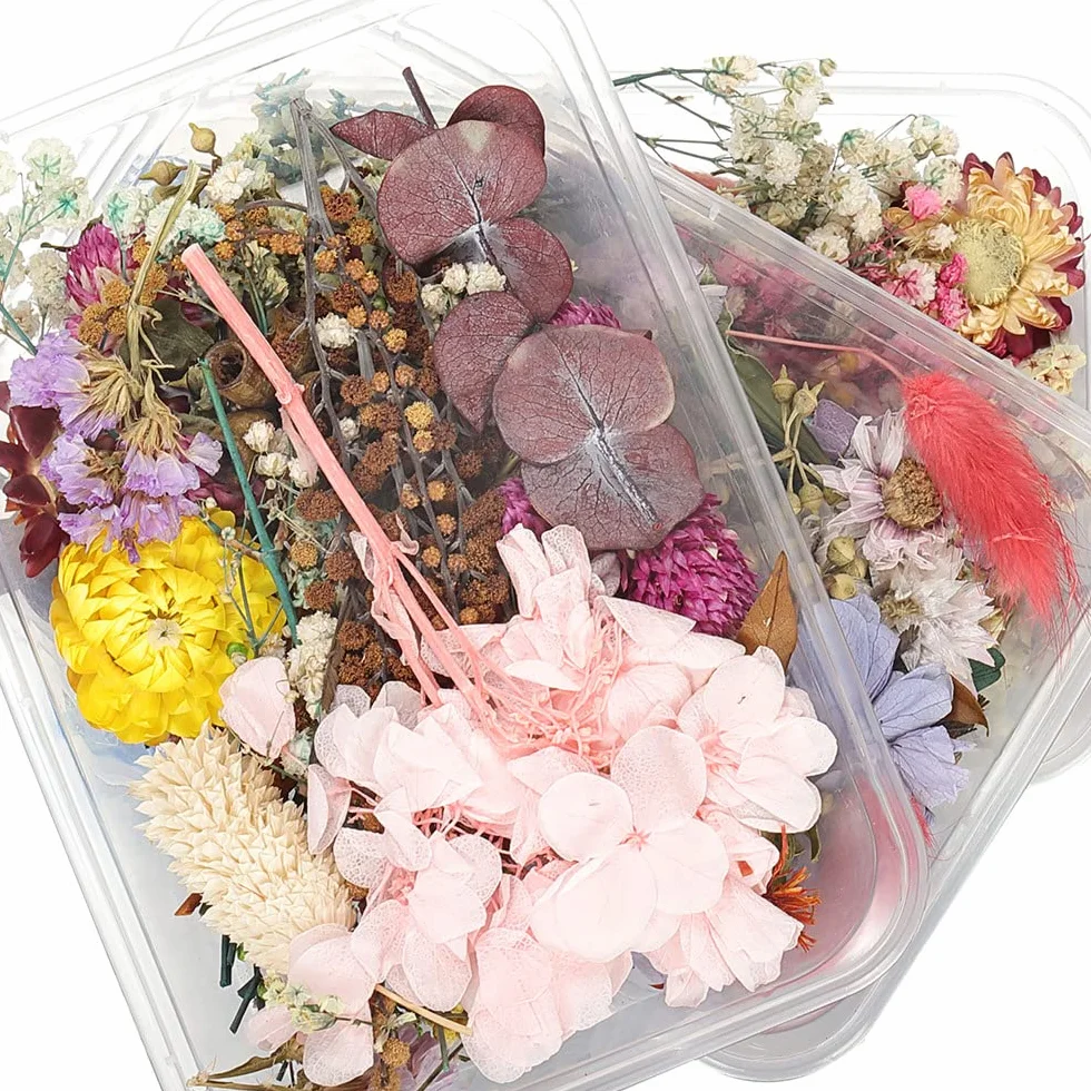 Zestaw naturalnych suszonych kwiatów, DIY, naturalne, suszone kwiaty, do rzemiosła artystycznego, kart, ramek artystycznych, żywicy epoksydowej, scrapbookingu, losowy kolor
