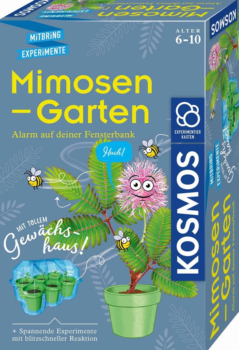 Mimosen-Garten: Experimentierkasten