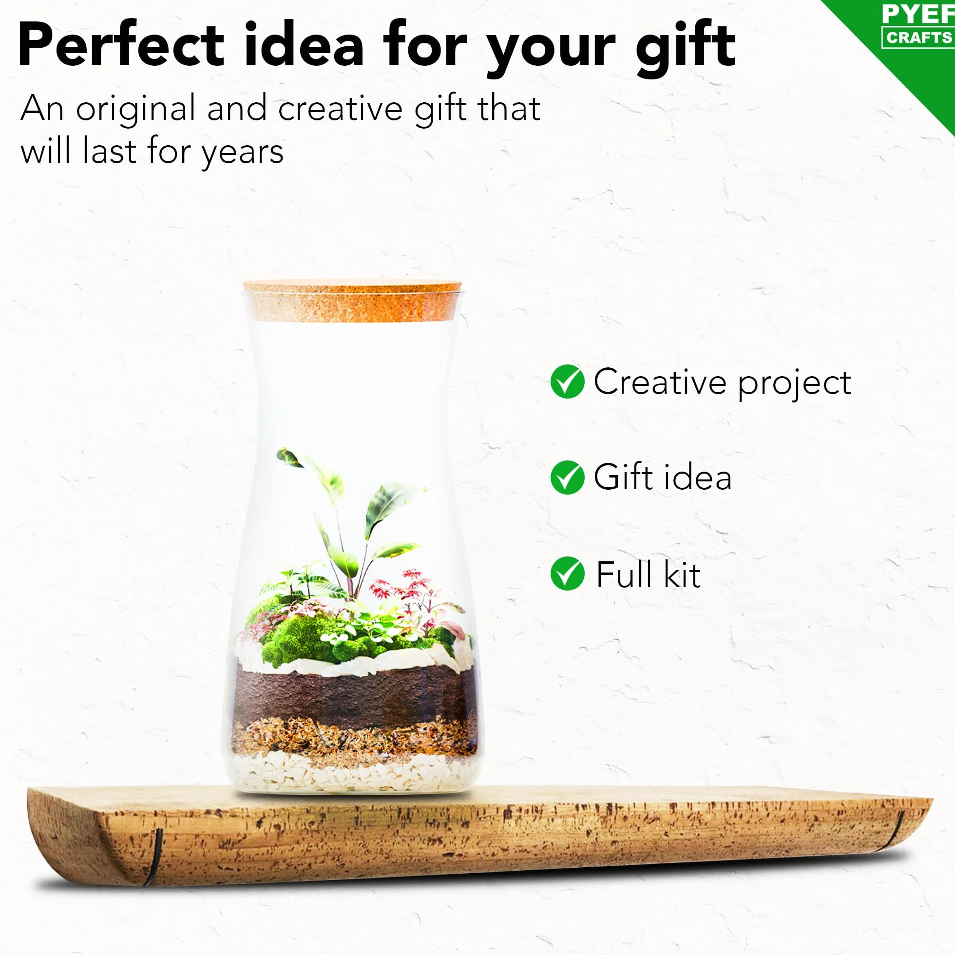 Zestaw do terrarium DIY dla roślin, zestaw startowy do ogrodu w butelce, samowystarczalny ekosystem, zestaw do terrarium ze słoikiem, mchem, ziemią, węglem aktywowanym, kamieniami i narzędziami (bez