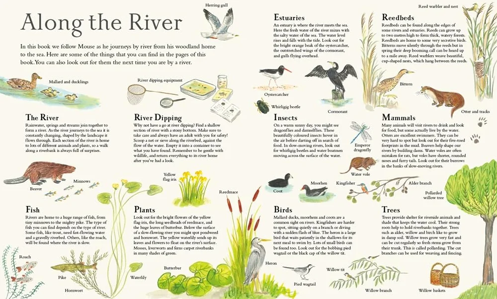 Mouse on the River: A journey through nature (Paperback) /anglais