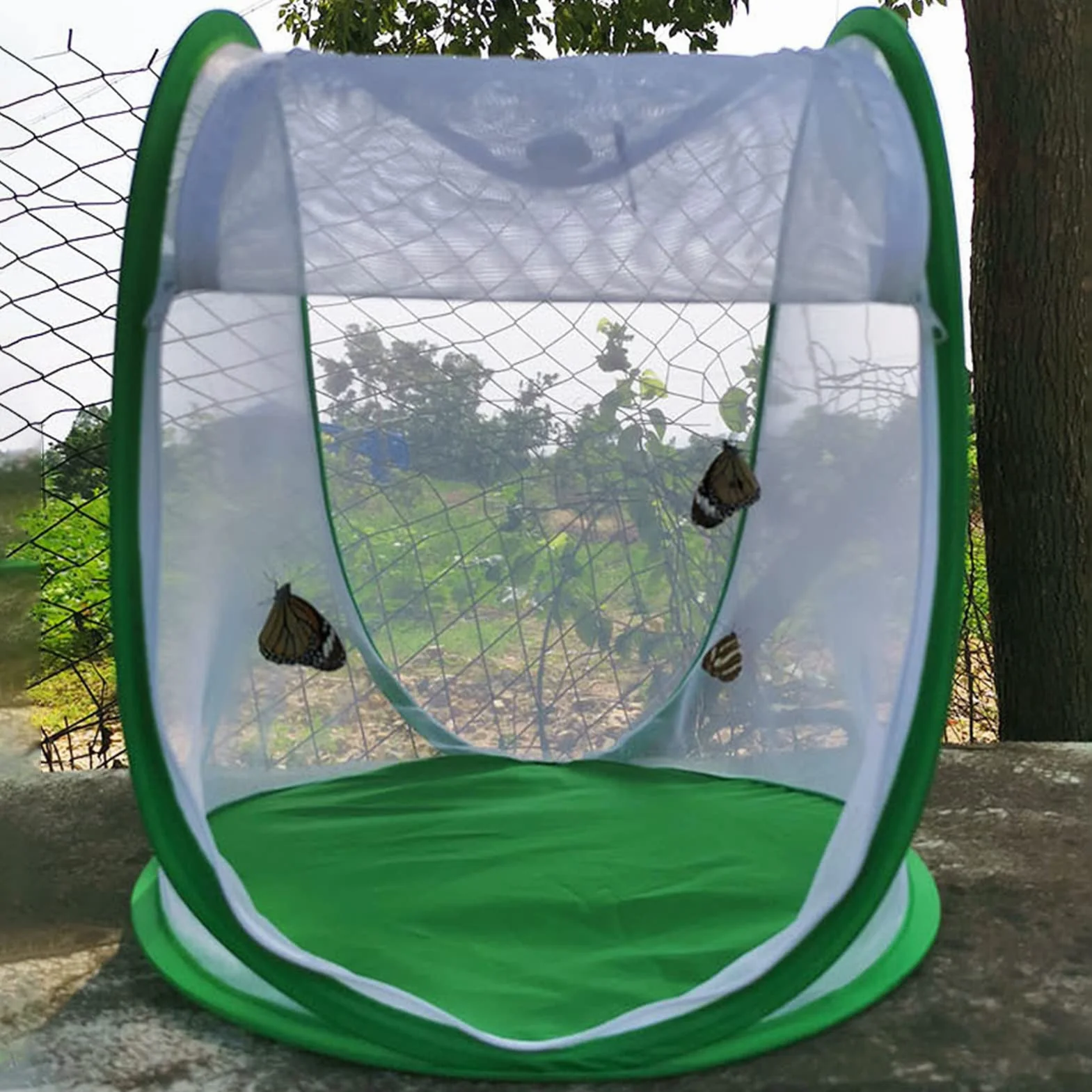 Siedlisko Motyla, Przezroczysta Klatka dla Owadów Monarch Butterfly Składana Obudowa Motylkowa z Przenośnym Uchwytem do Użytku w Pomieszczeniach na Zewnątrz, 13,2 X 13 X 14,4 Cala