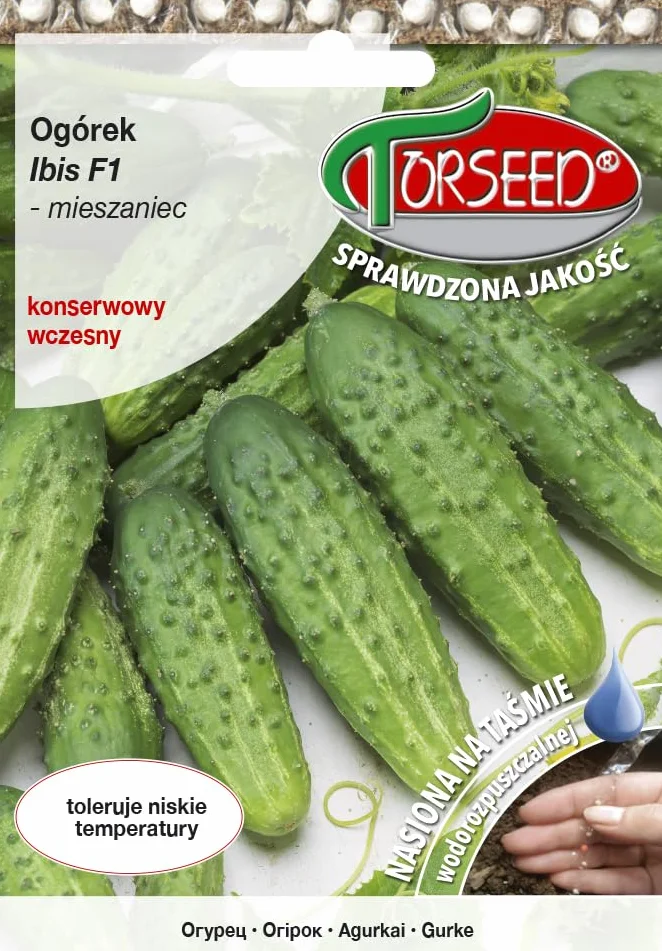 Ibis F1 nasiona ogórków – wczesny, silny wzrost, odporne na grzyby, idealne do marynowania, odporne na zimno, biodegradowalna taśma, 40 nasion