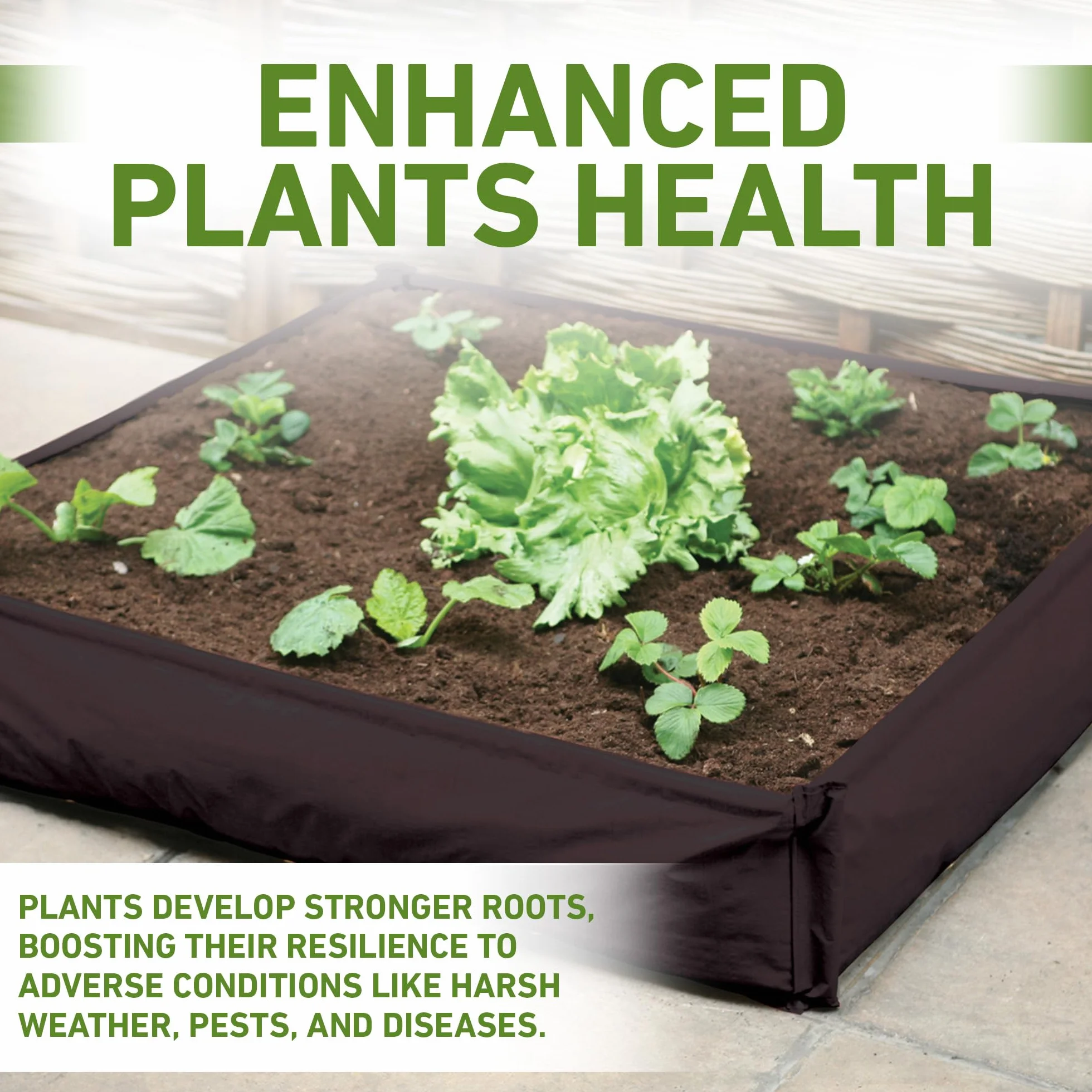 Haxnicks Planter230101 1 x 1 m Natychmiastowa podwyższona grządka, czerwona, 100 x 100 x 25 cm