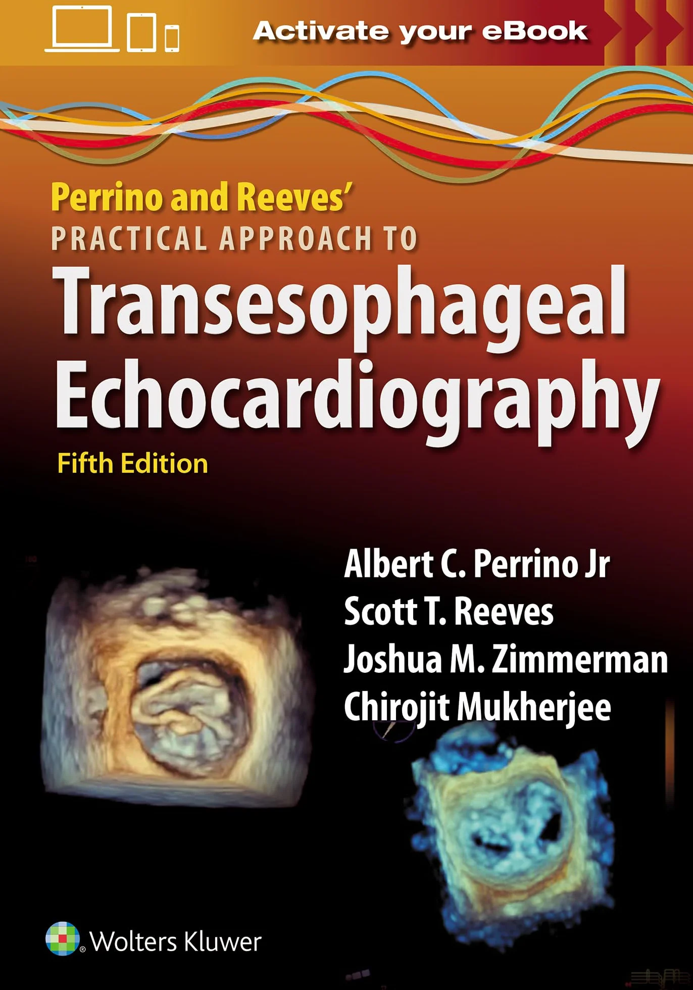 Perrino and Reeves' Practical Approach to Transesophageal Echocardiography: Print + ebook with Multimedia