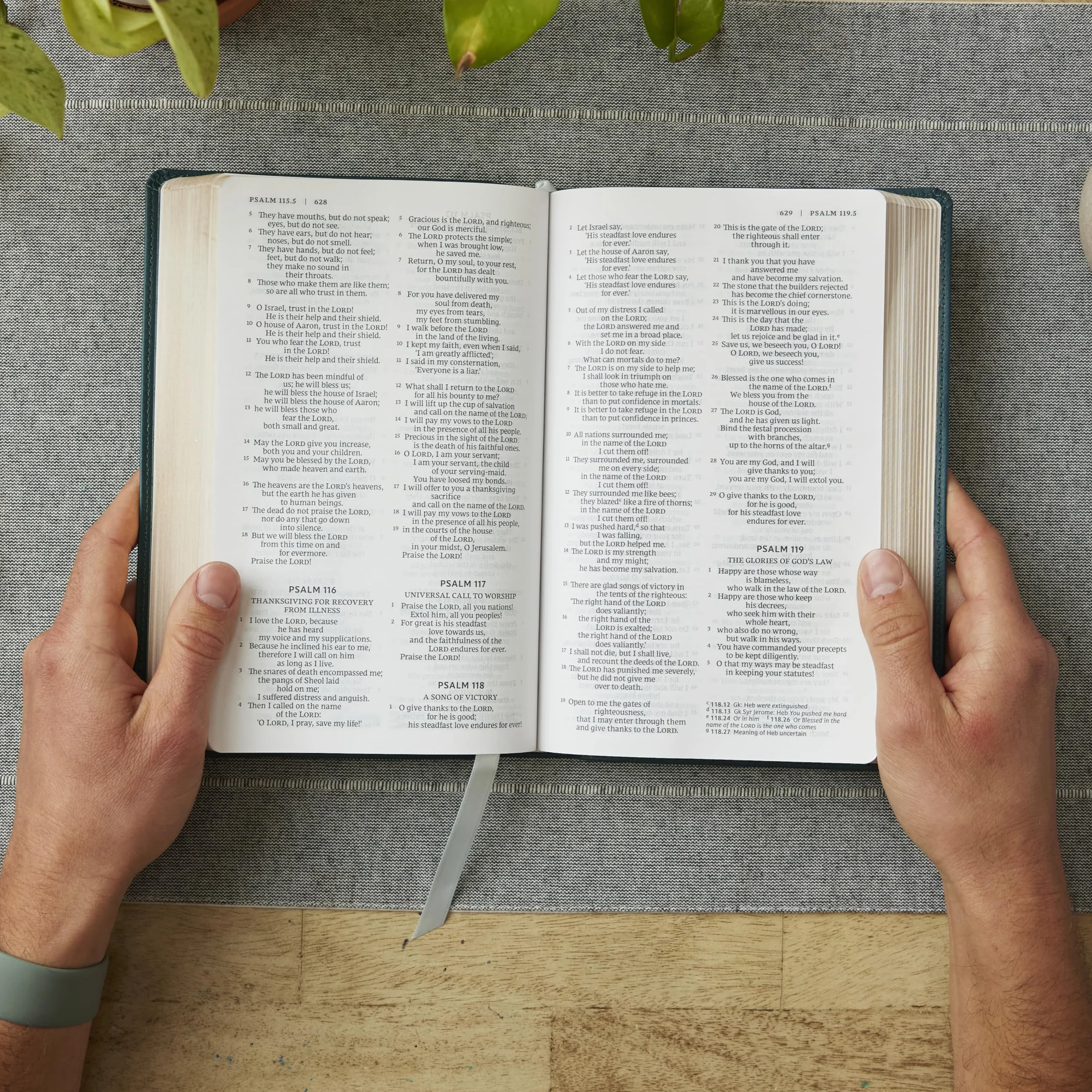 Nrsv, Catholic Bible, Gift Edition, Leathersoft, Teal, Comfort Print: Holy Bible