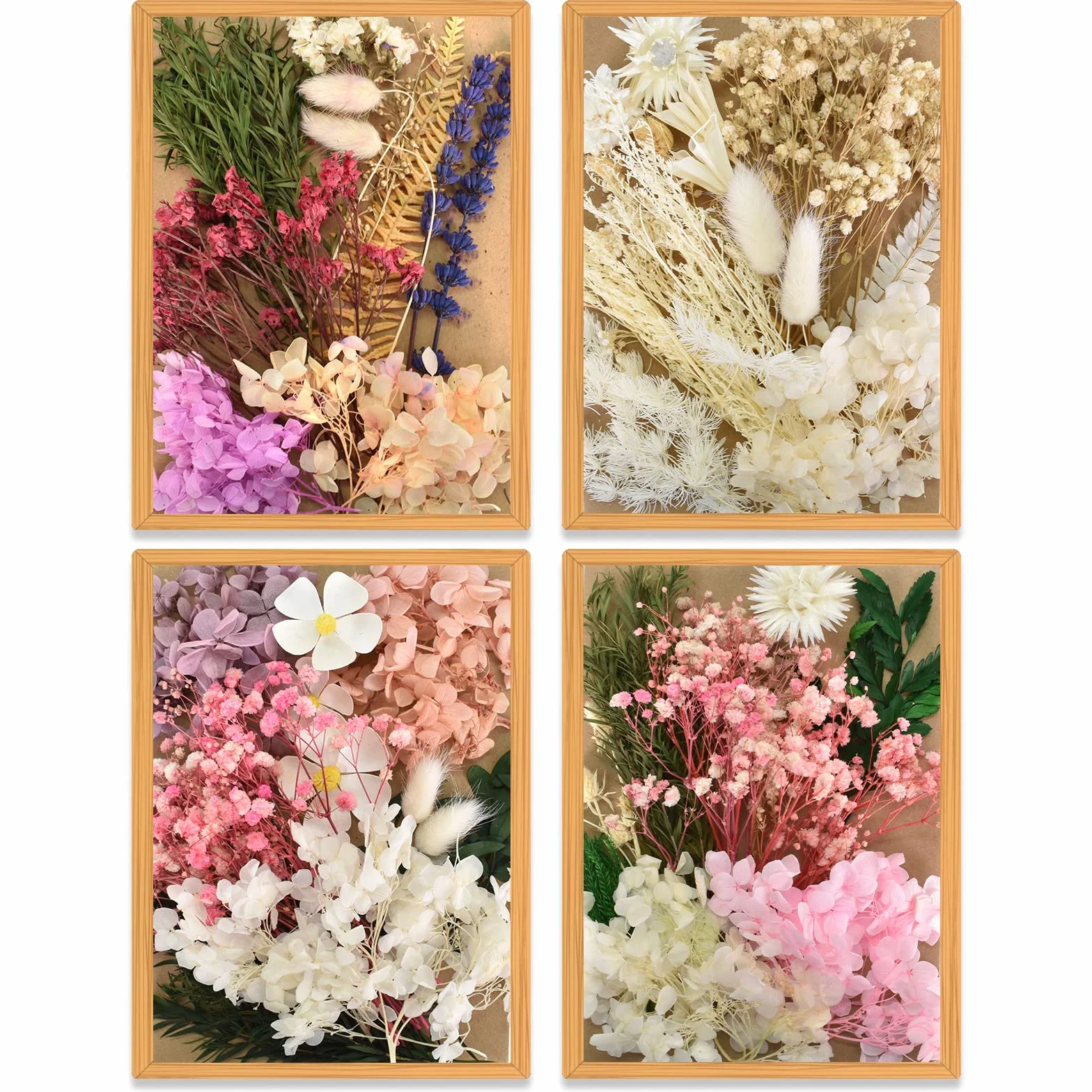 Suszone Kwiaty, prasowane naturalne suszone kwiaty, mieszanka suszonych kwiatów, zestaw suszonych kwiatów do makijażu, scrapbookingu, majsterkowania, dekoracji albumów, świec i DIY (białe i fioletowe)