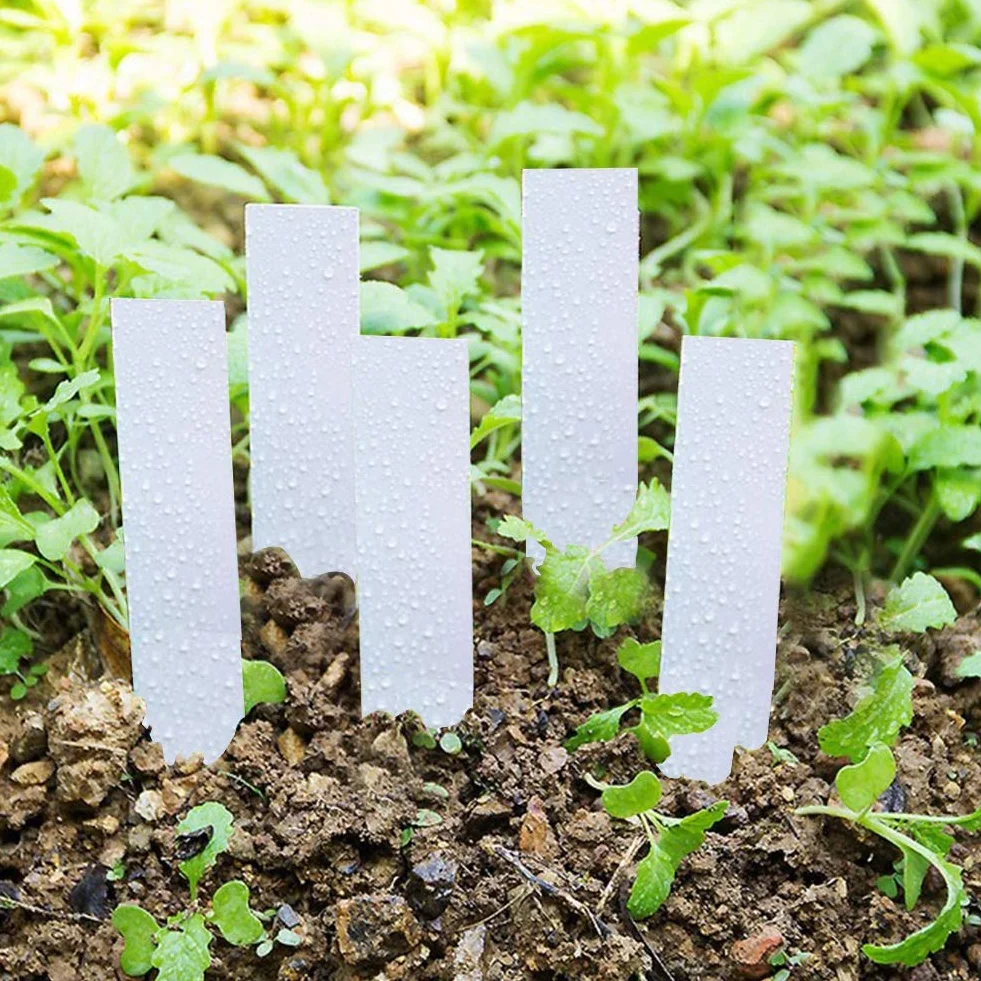 100 sztuk Plastikowe etykiety roślin Tagi roślin Etykiety nasion Znaczniki doniczkowe Stawka ogrodowa przedszkola (biała)